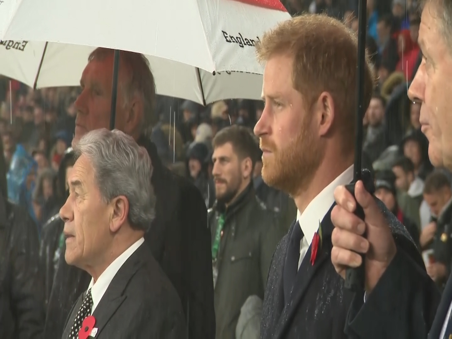 Prince Harry alongside Winston Peters (Picture: Royal Rota).