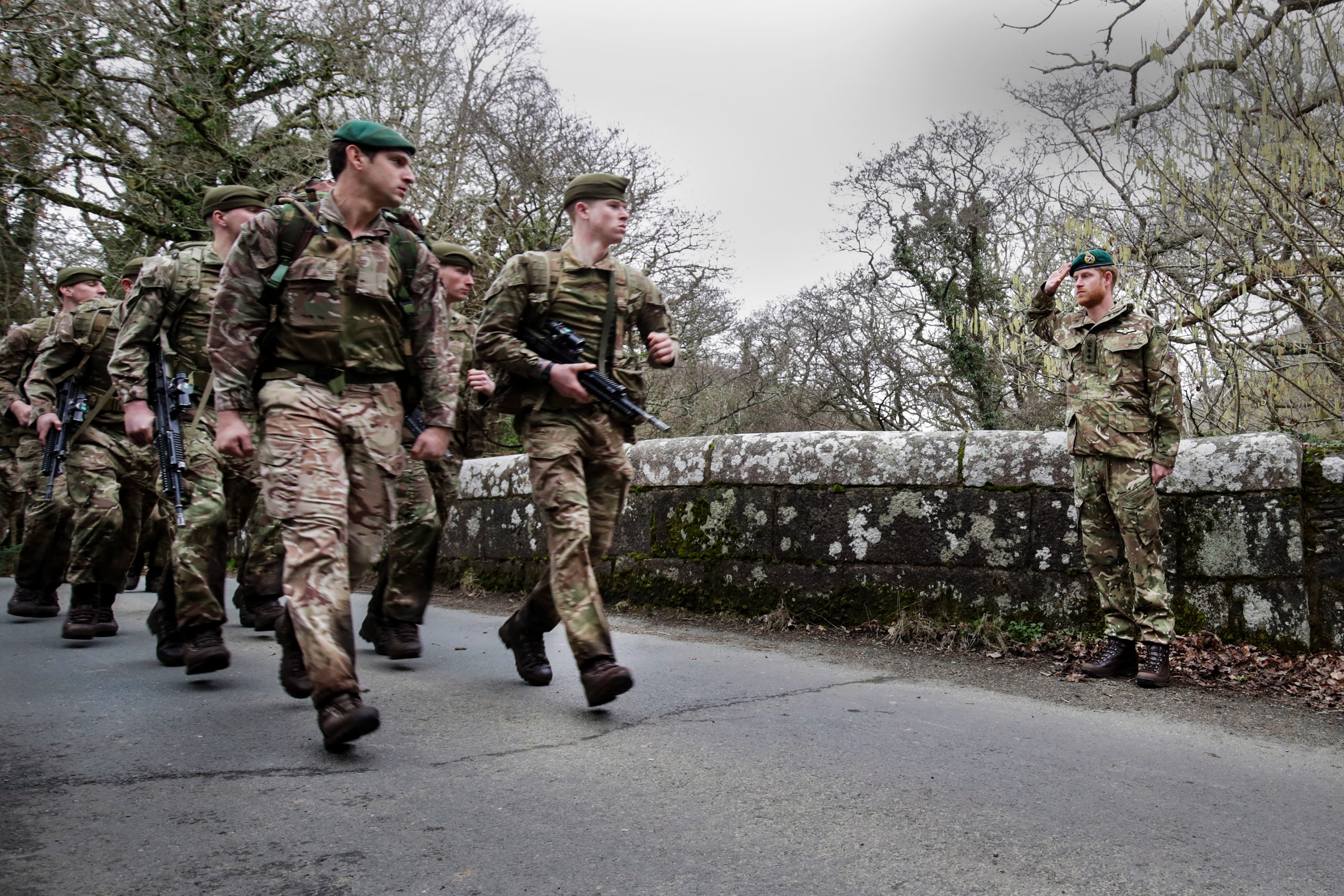 The Duke of Sussex is the ceremonial head of the Corps of Royal Marines. Credit: LPhot Alex Ceolin, Crown Copyright