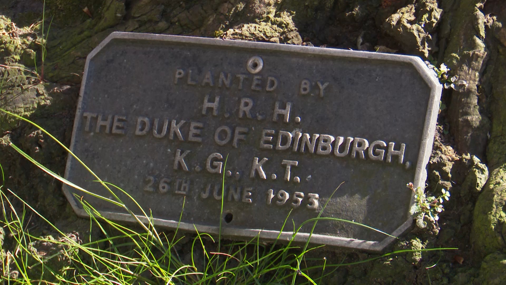 Prince Philip planted cherry blossom in the grounds of Cannongate Kirk church in Edinburgh 15042021 CREDIT BFBS