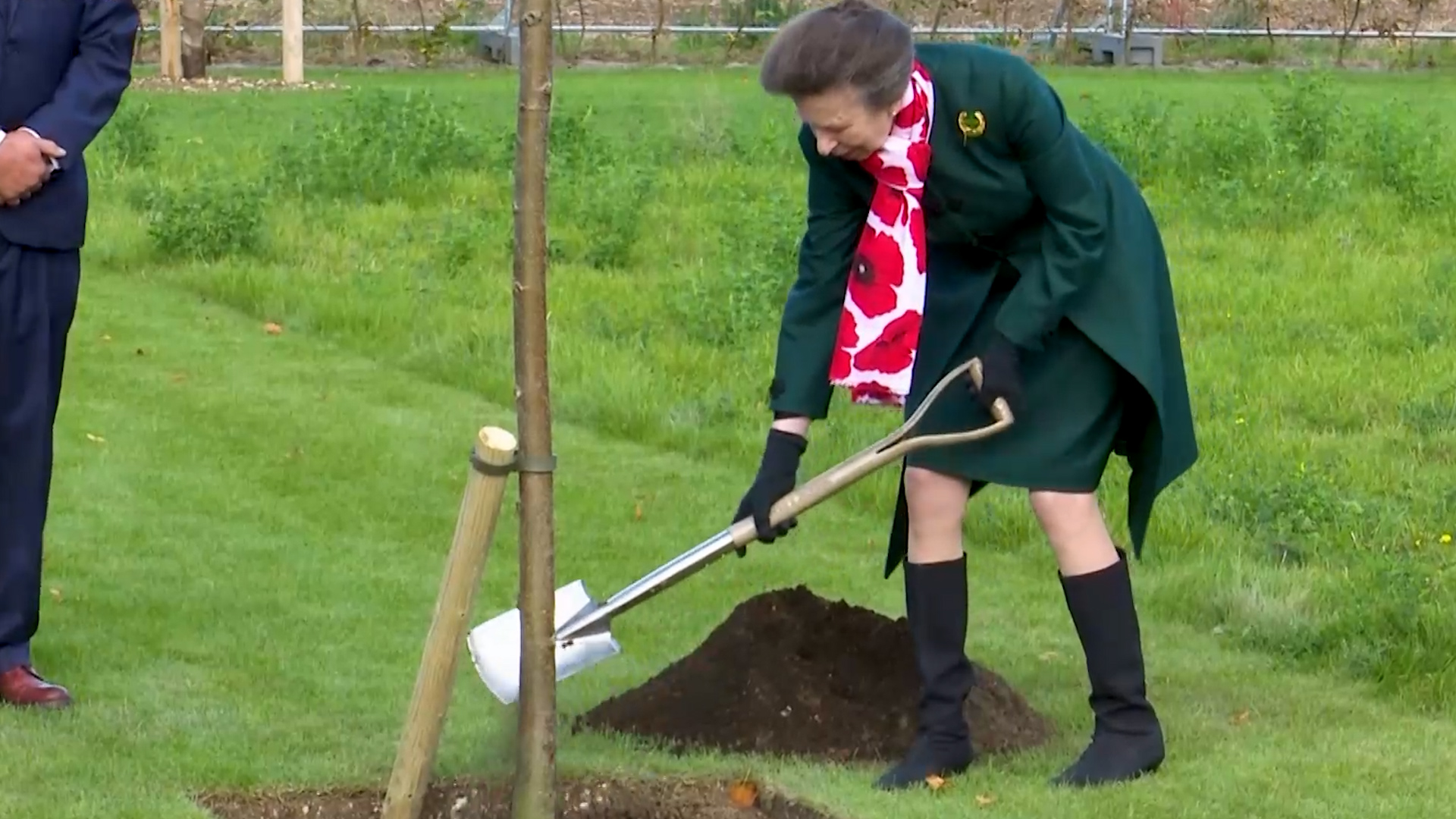 Princess Anne plants a tree at Loos British Cemetery in northern France 26092024