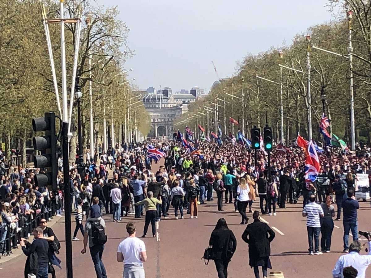 Protesters walk along The Mall in London (Picture: Dougie Brimson/Twitter). 