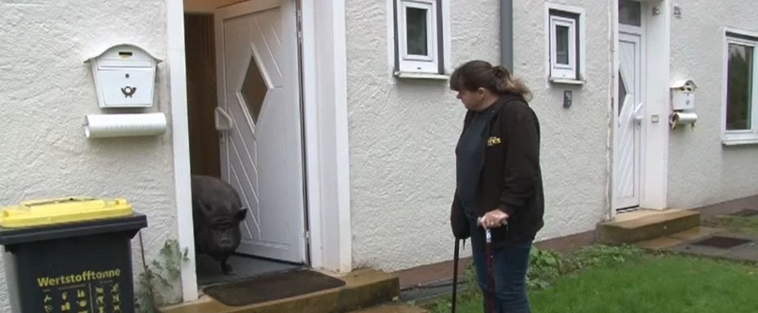 Pumba The Pig Going For A Walk Credit British Forces News