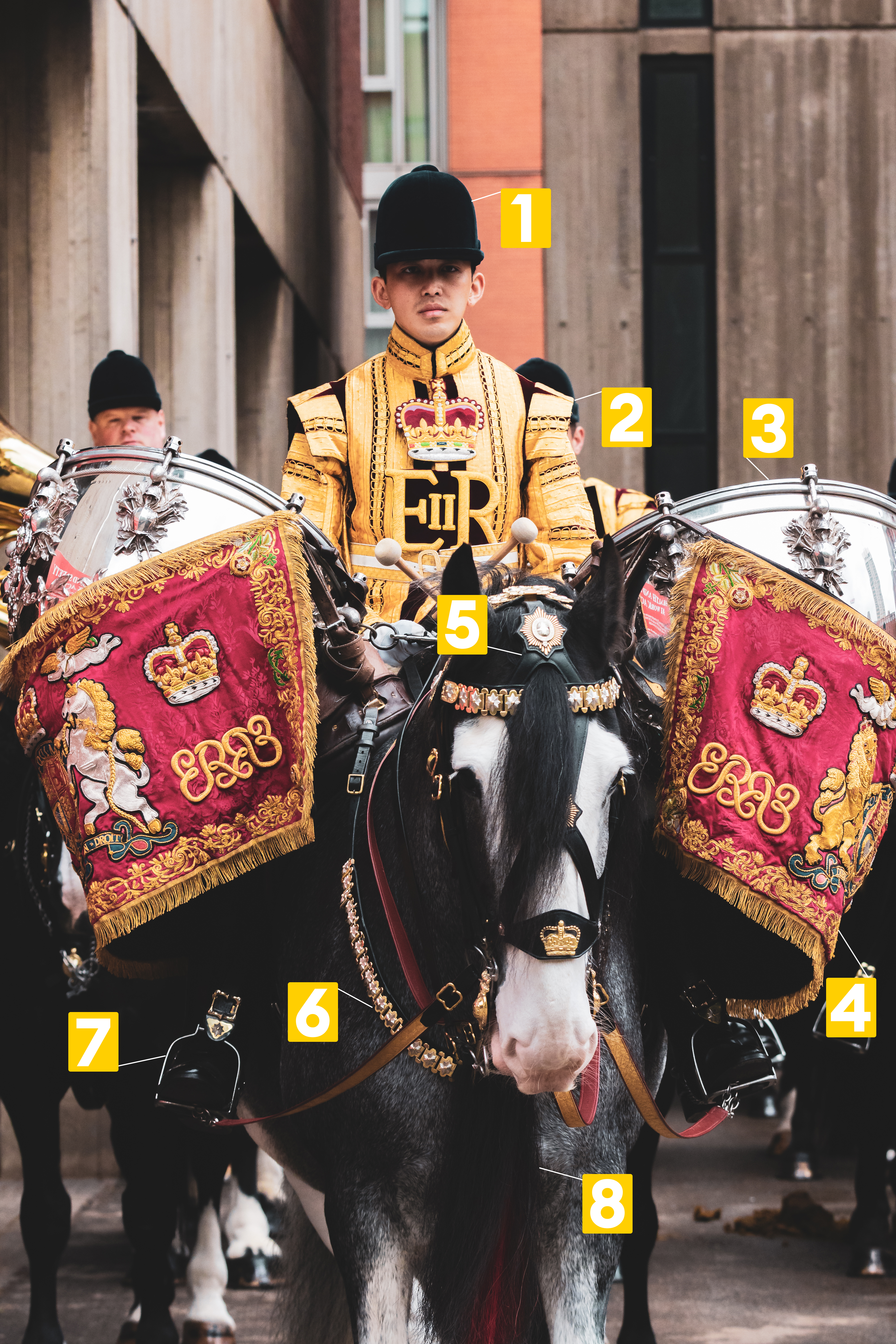 Drum Horse with numbers