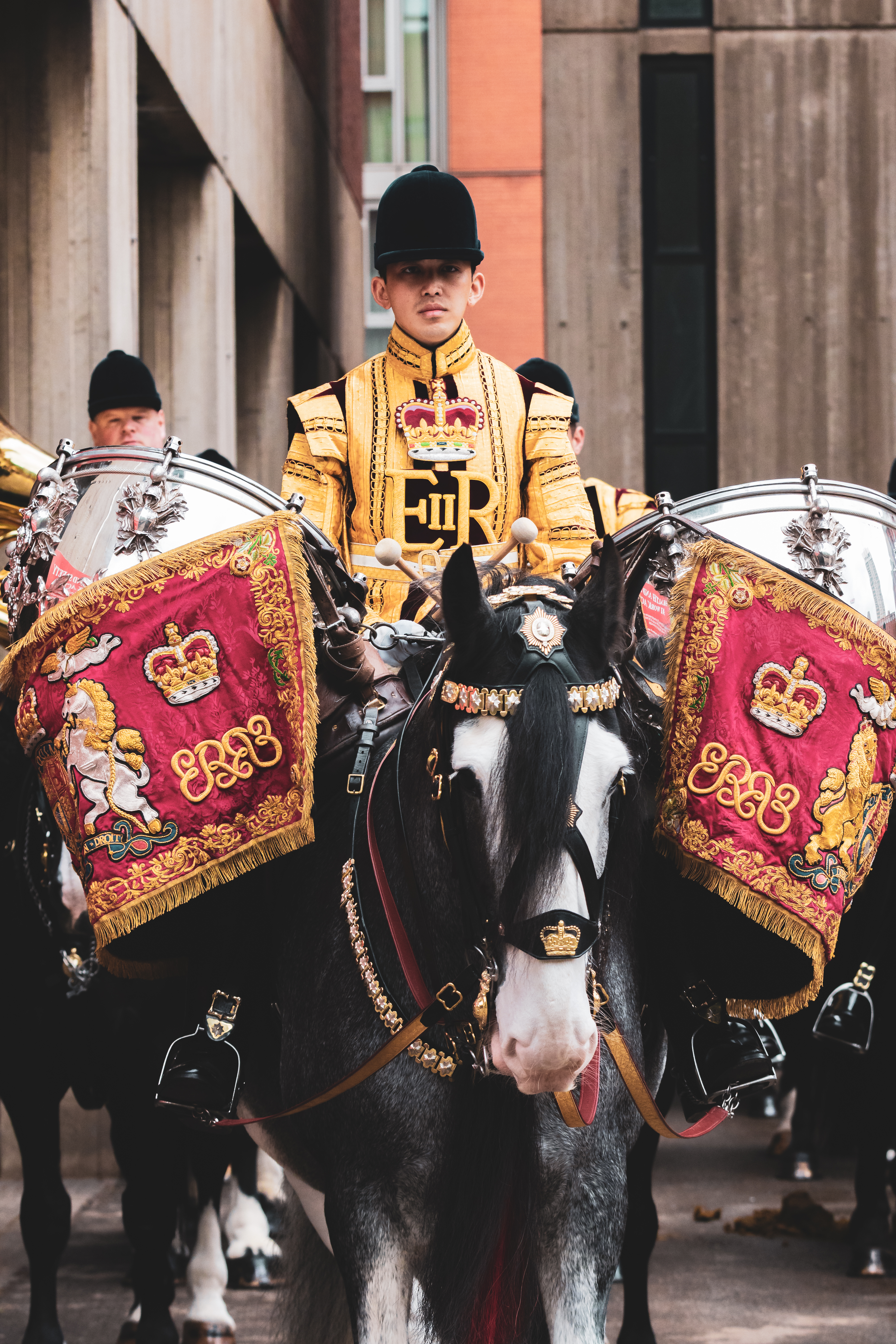 Drum Horse and Rider 2019.