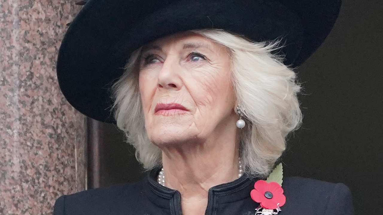 The King and members of the Royal Family will attend Remembrance Events this weekend, however the Queen is unable to attend (Picture: PA)