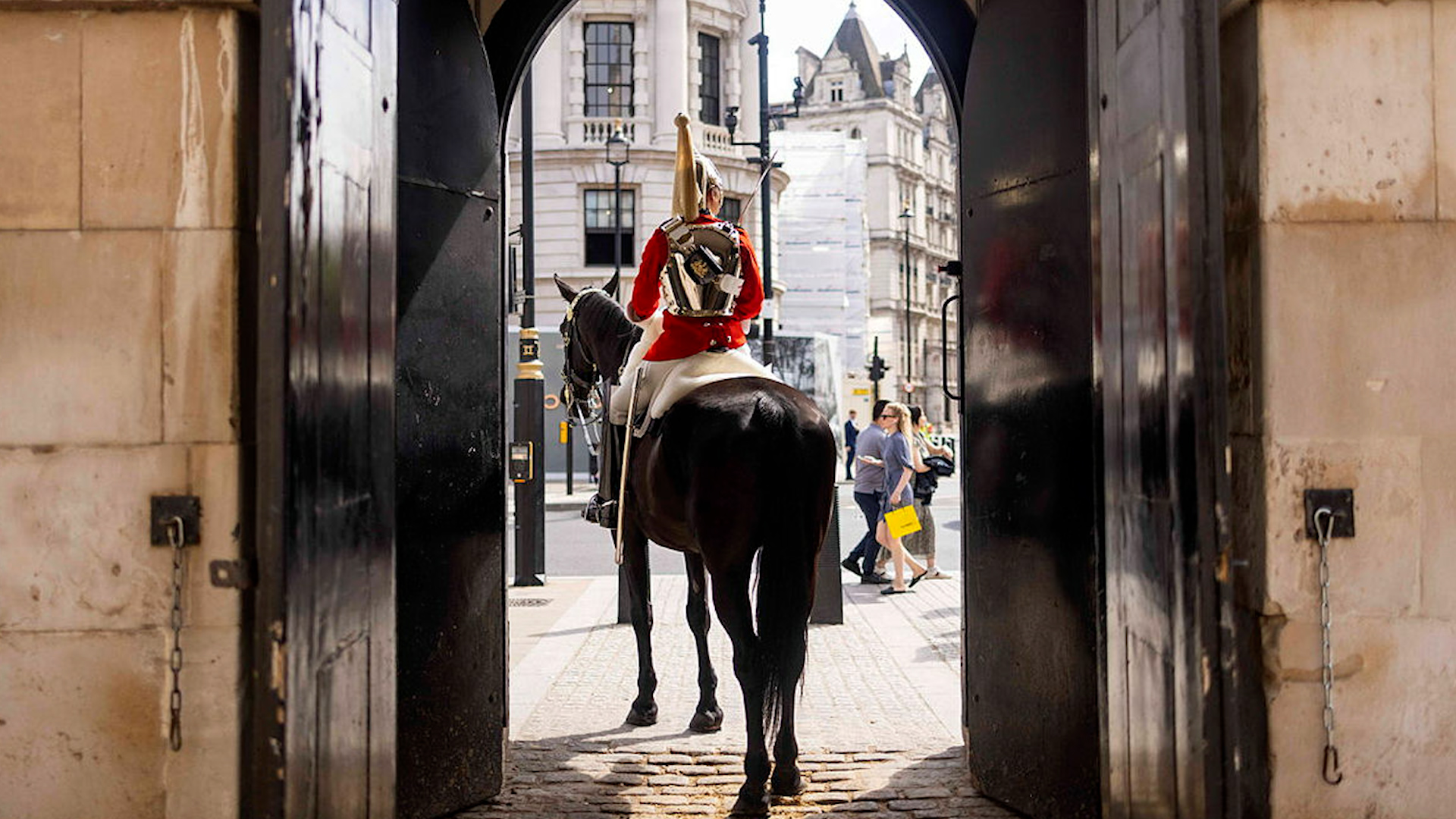 Queen’s Life Guard horse at gate London 130722 CREDIT MOD