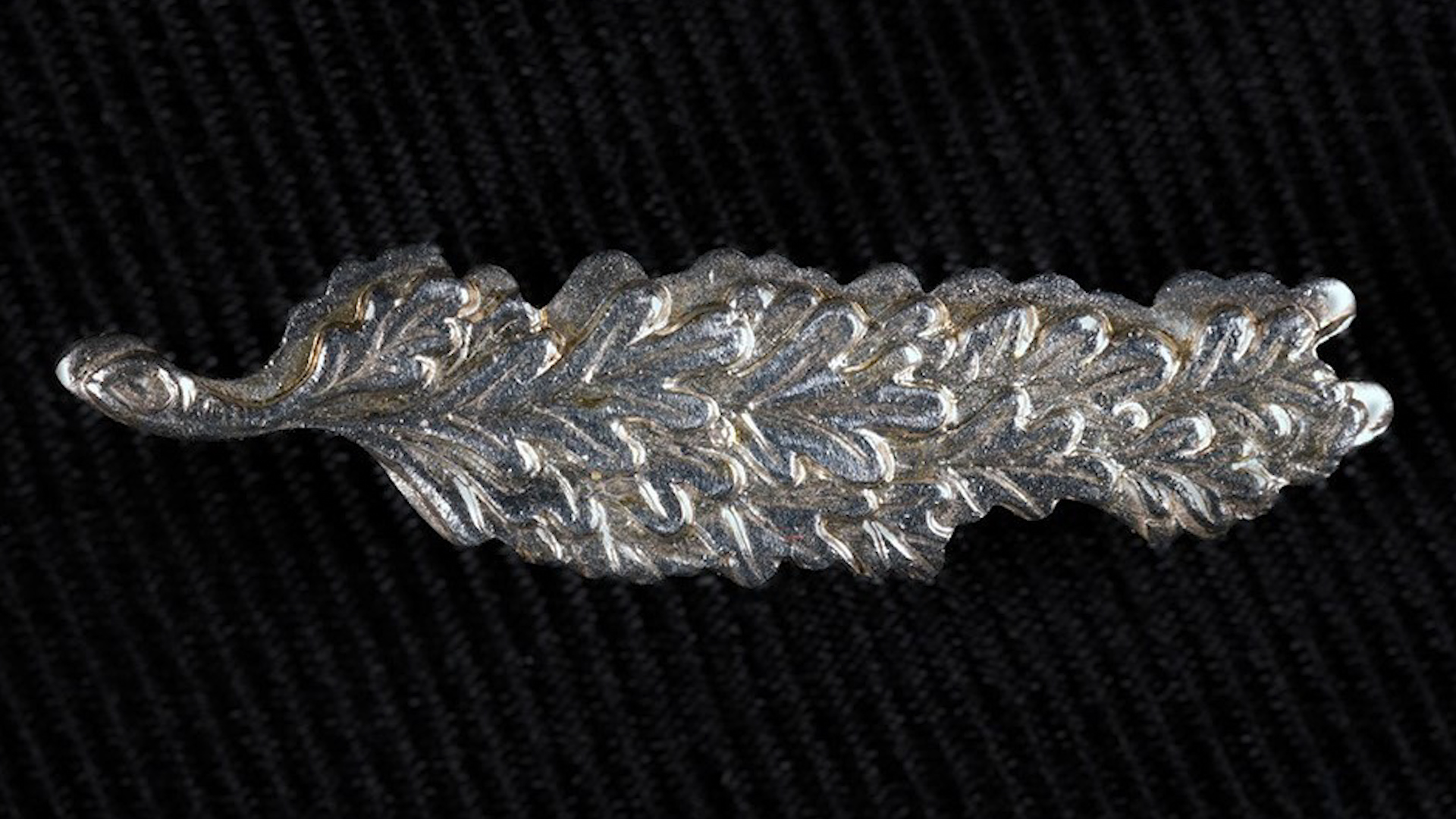 The Queen's Commendation for Valuable Service Award (Picture: MOD).