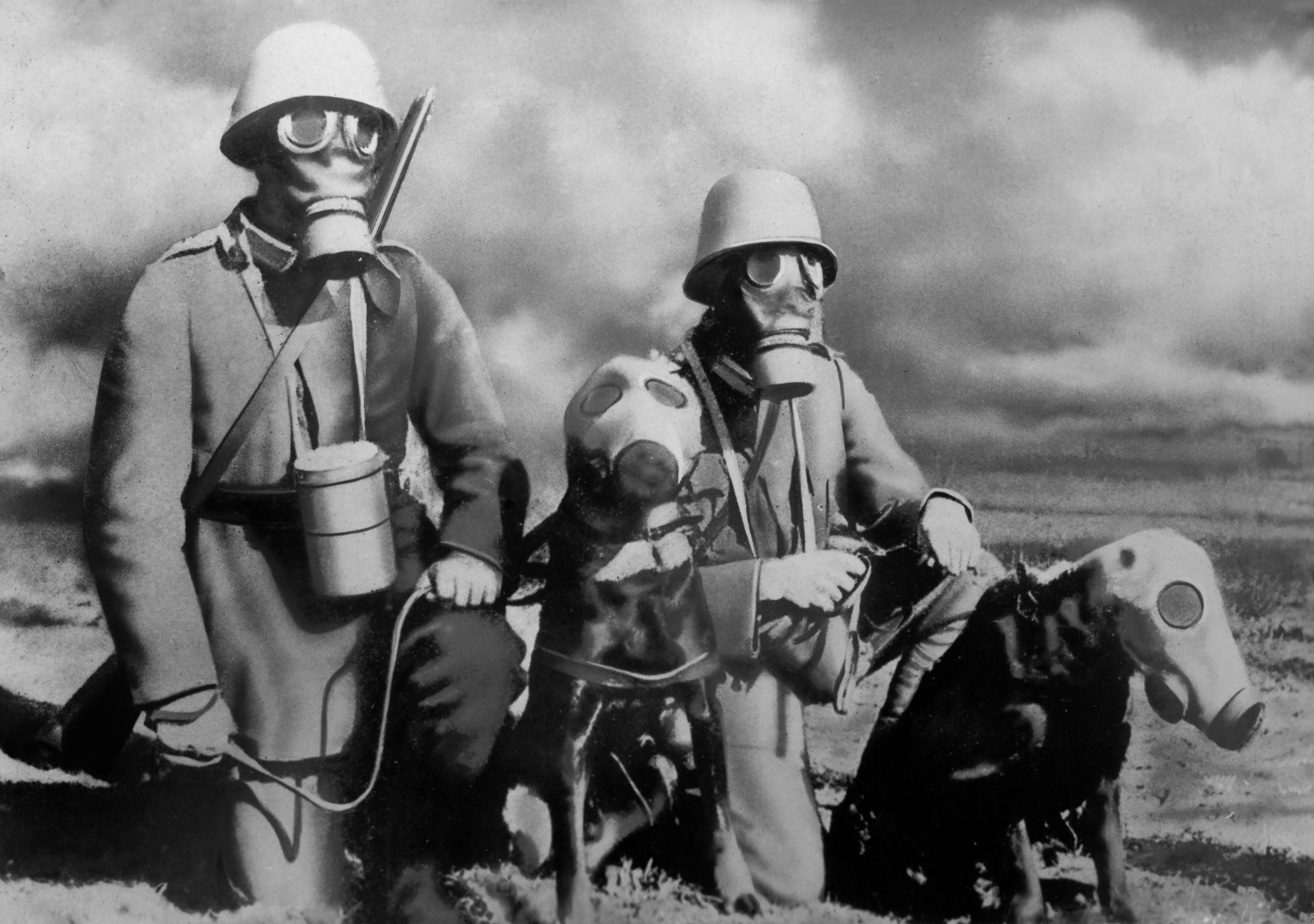 Japanese soldiers and their service dogs wear gas masks during a training session, ca. 1933