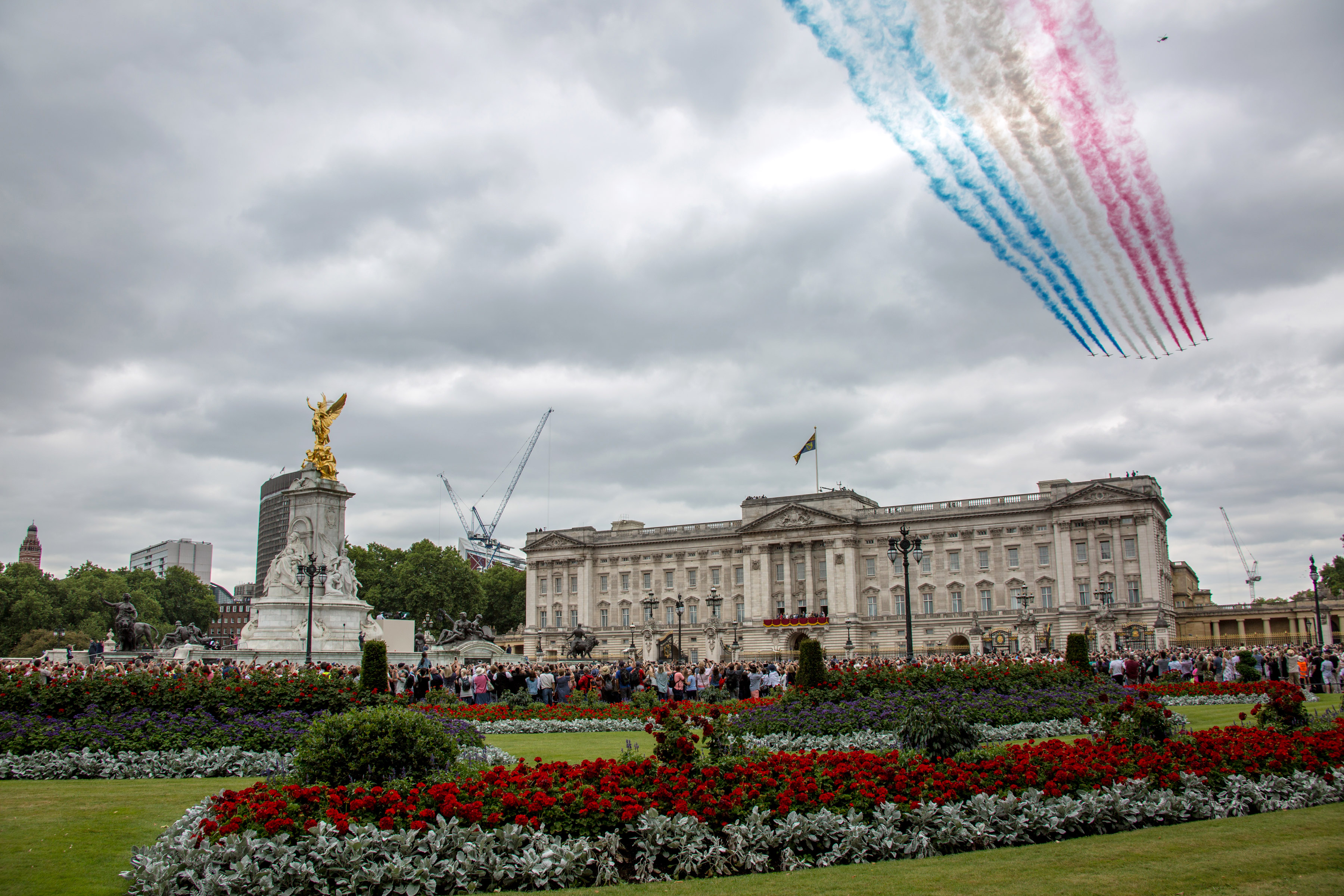RAF 100 flypas