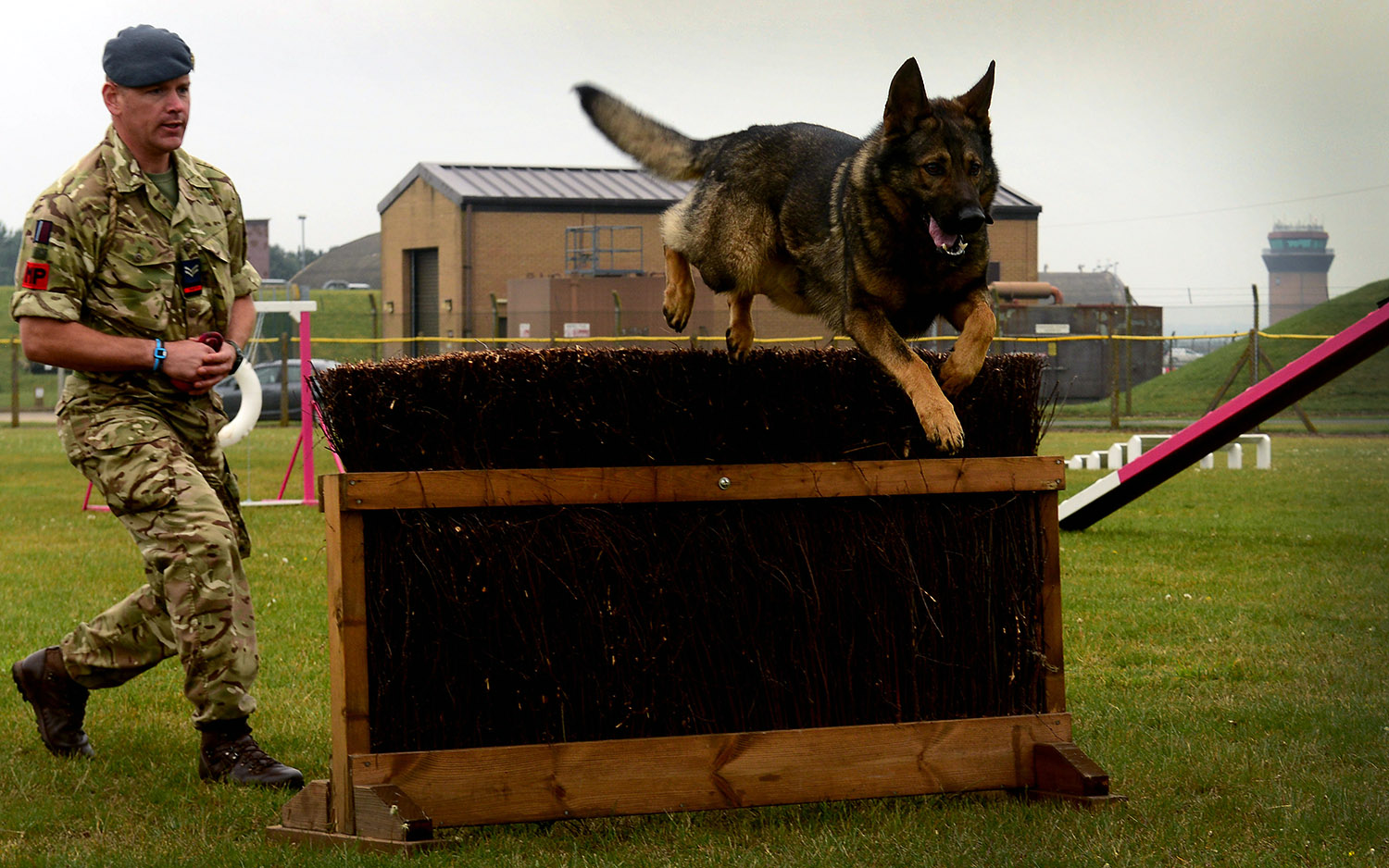RAF Comes Out ‘Top Dog’ Over U.S. Air Force