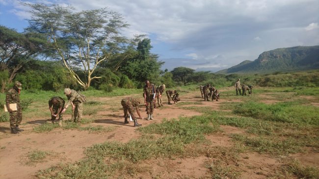 RAF Regt training Kenyan army in tracking