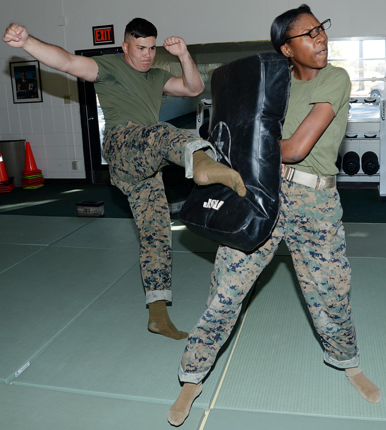 Marine Corps Martial Arts Program student, Marine Corps Logistics Base Albany, performs a roundhouse kick