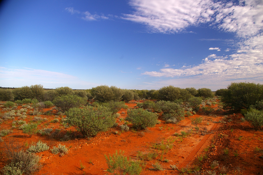 Red Earth Desert Maralinga
