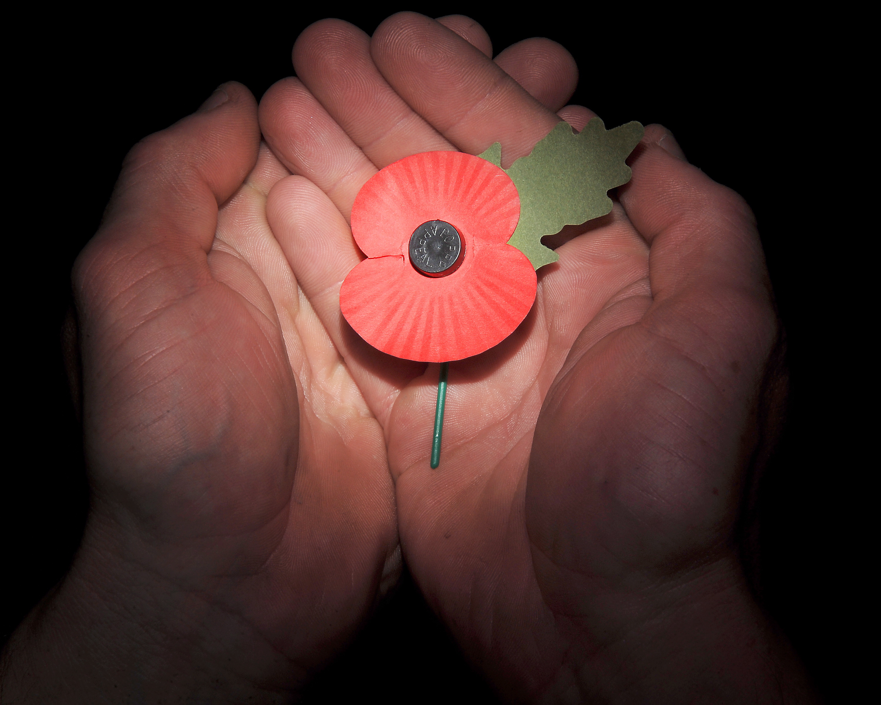 The Remembrance poppy went on sale for the first time in 1921 (Picture: MOD).