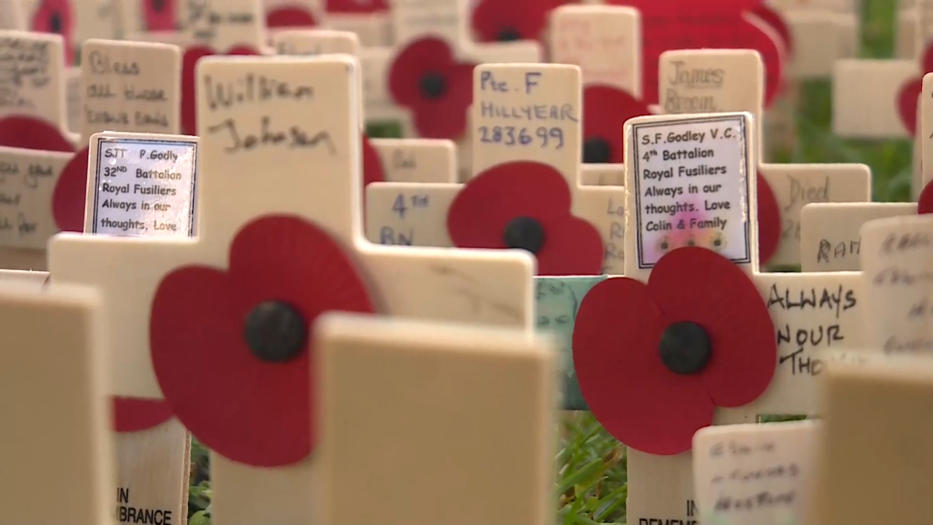 Remembrance crosses at the 92nd Field of Remembrance 