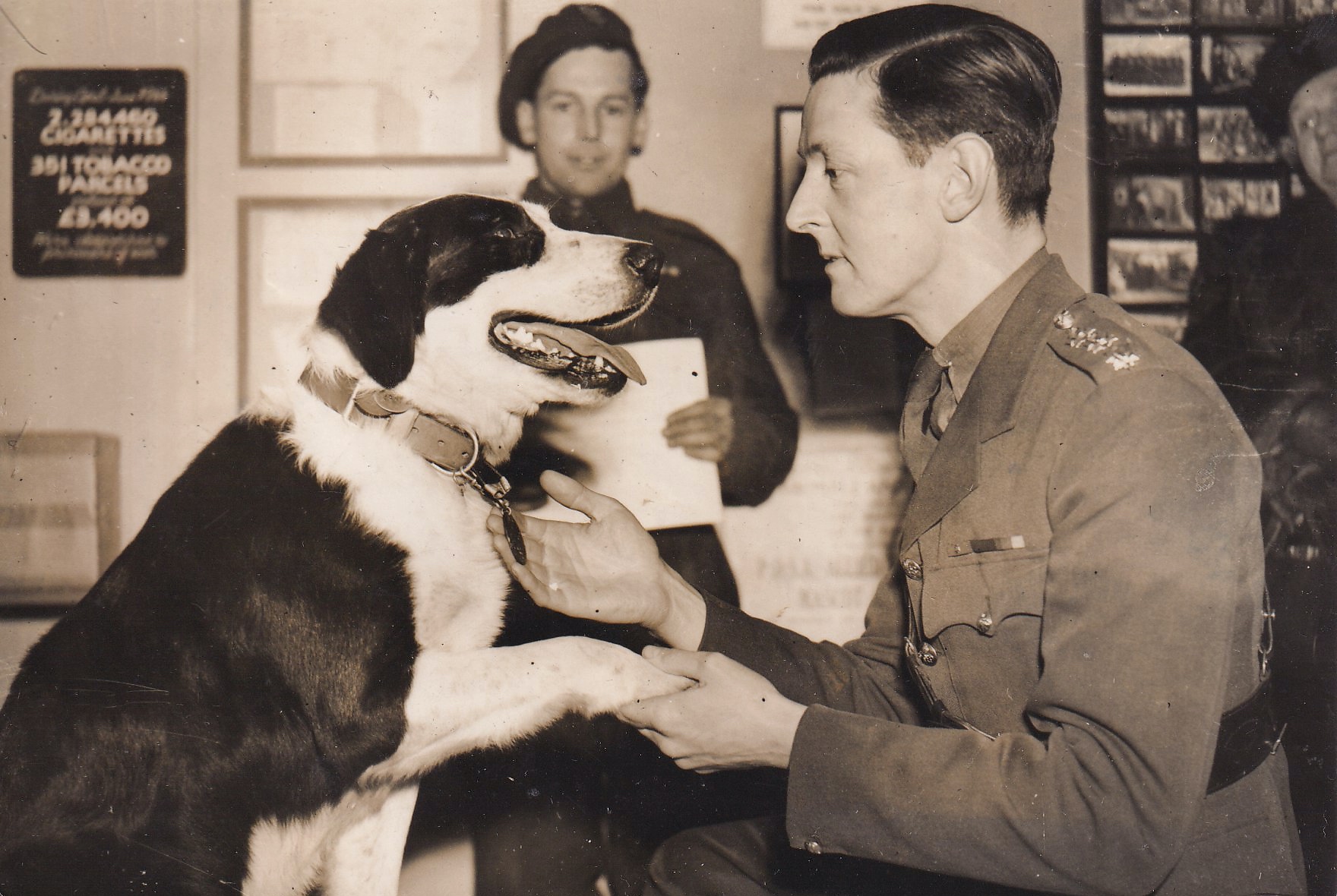 Rob the Dog Collects Dickin Medal