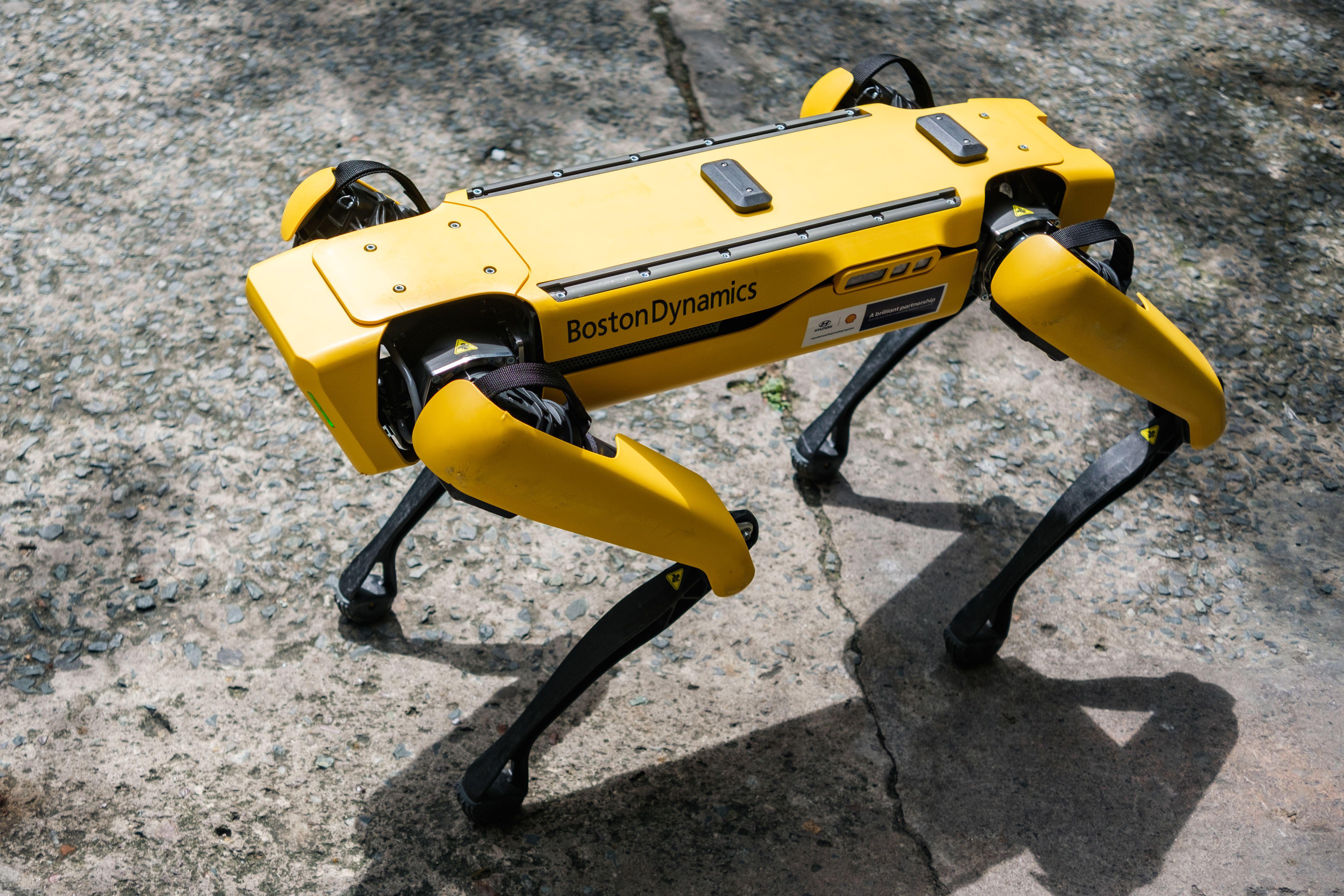 A robot dog by Boston Dynamics on show in Vietnam in July 2022  (Picture: Quang NGUYEN DUC/Alamy)