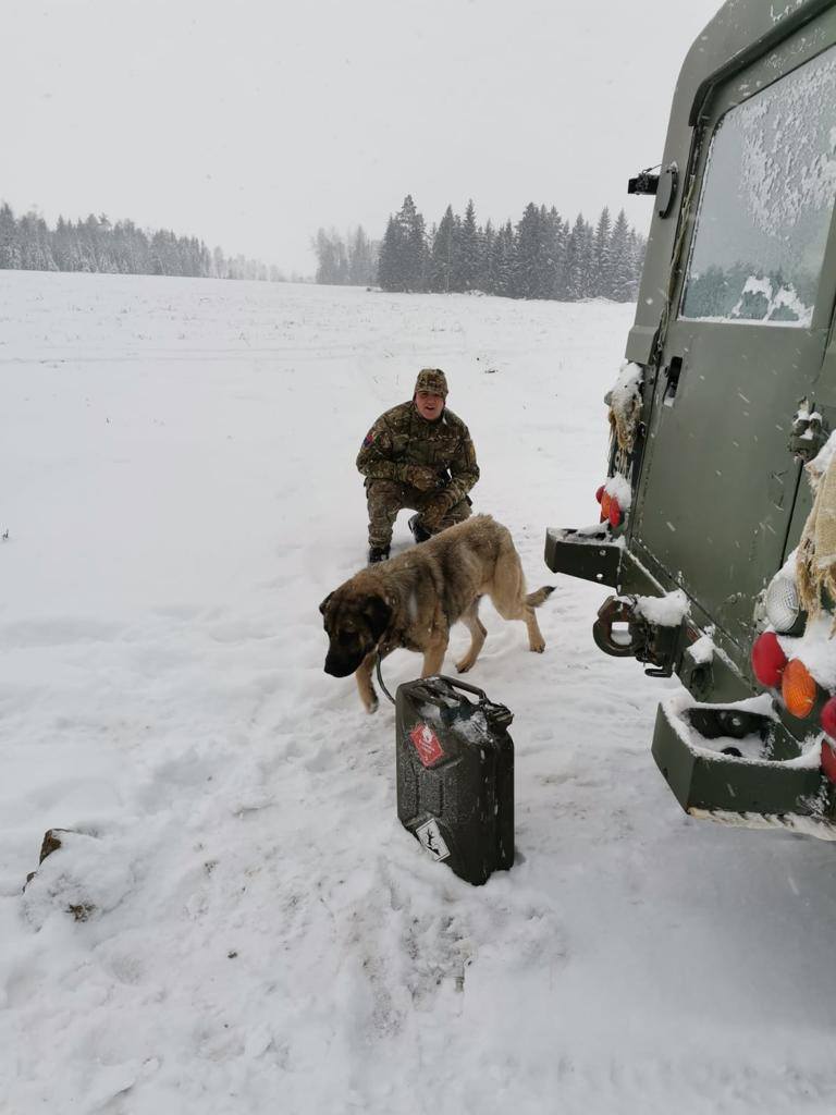 Roi, the dog who became lost and was reunited with his owner by NATO eFP troops in Estonia 