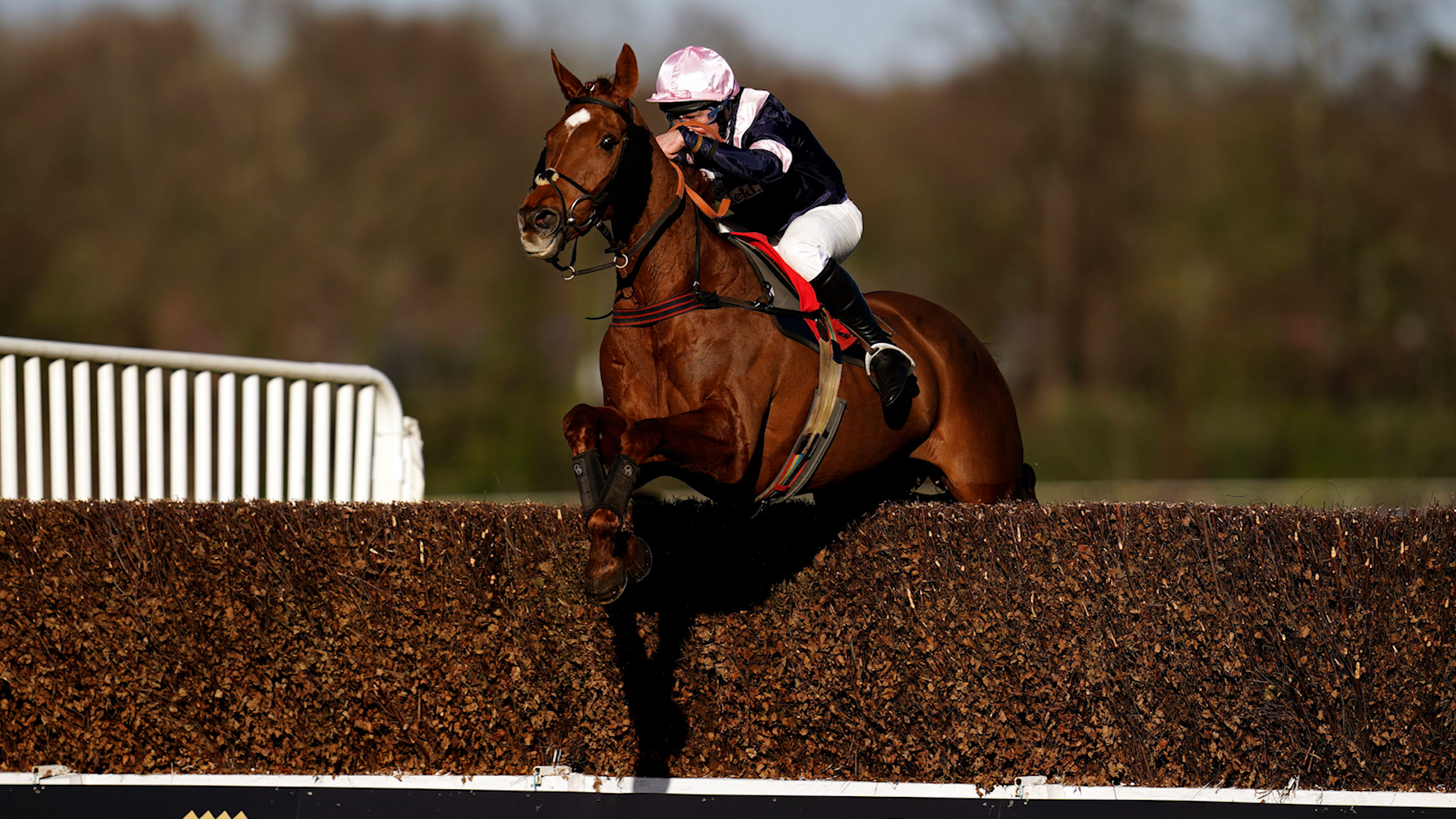 Rolling Dylan ridden by Maj Charlie O'Shea on their way to winning the Castel Royal Artillery Gold Cup at Sandown Park Racecourse