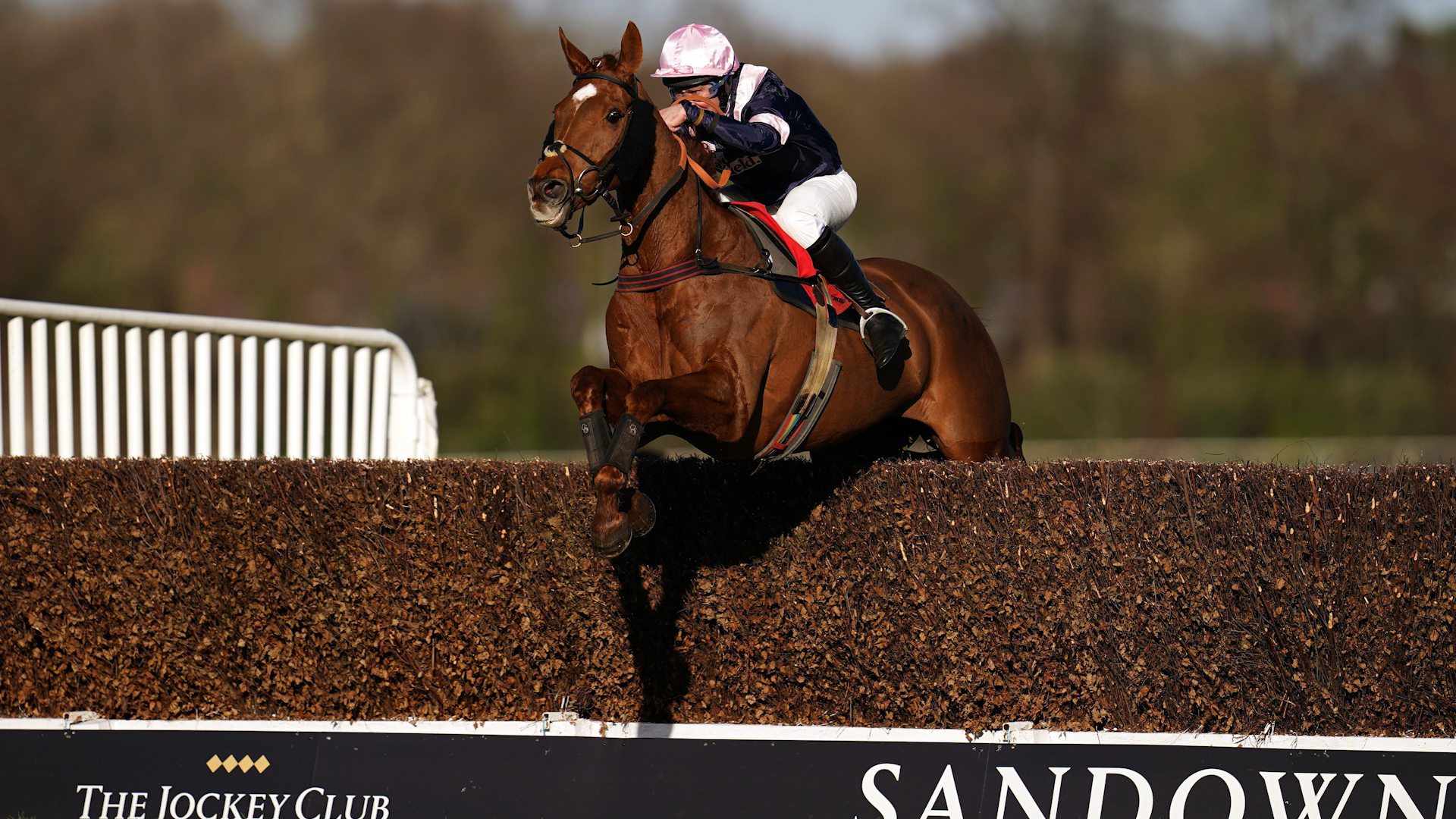 Rolling Dylan ridden by Maj Charlie O'Shea on their way to winning the Castel Royal Artillery Gold Cup at Sandown Park Racecourse. 17022022 Credit ALAMY.jpg