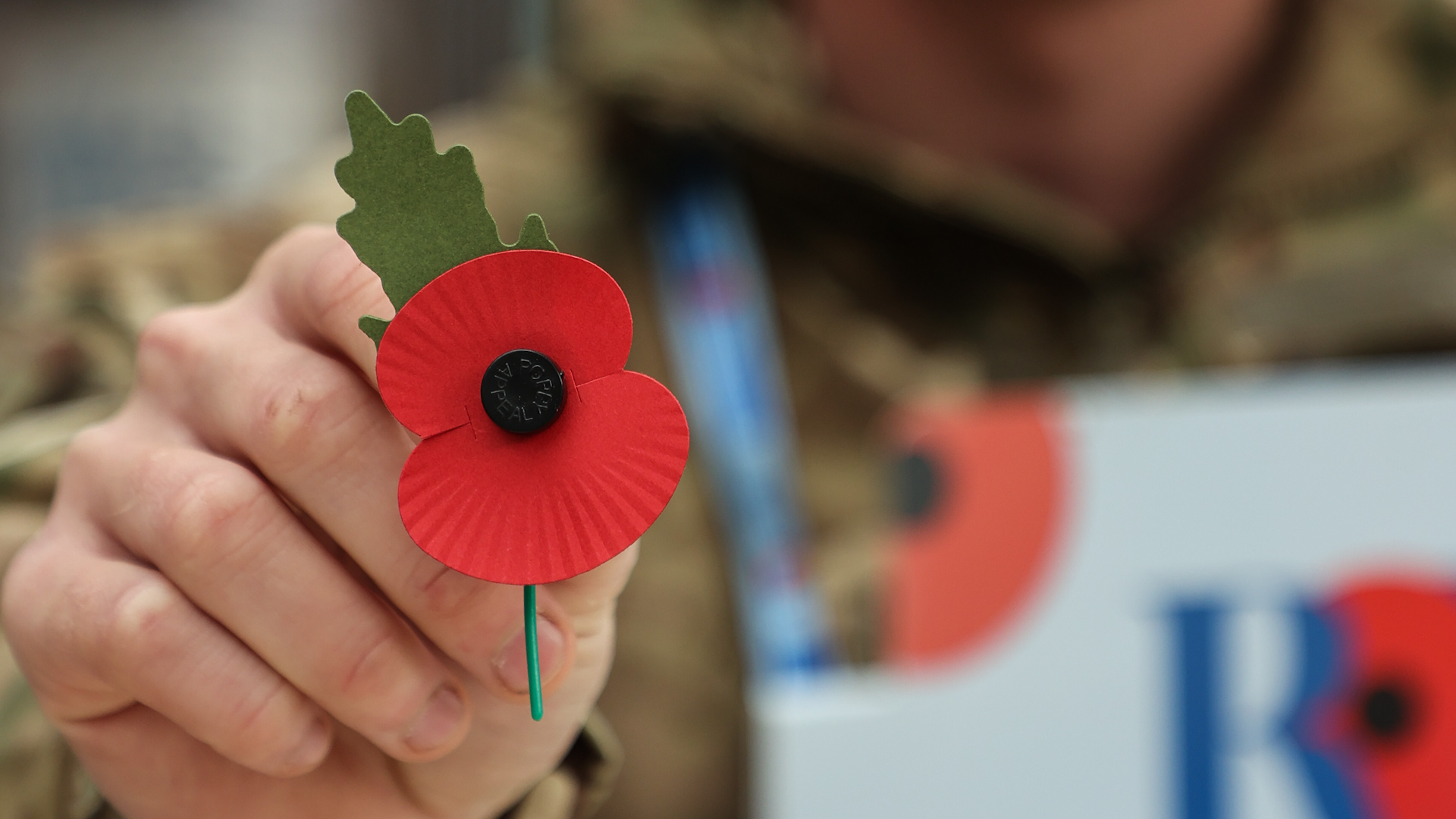 Royal Artillery soldier holds a poppy while collecting donations on London Poppy Day at Waterloo Station (Picture: MoD).
