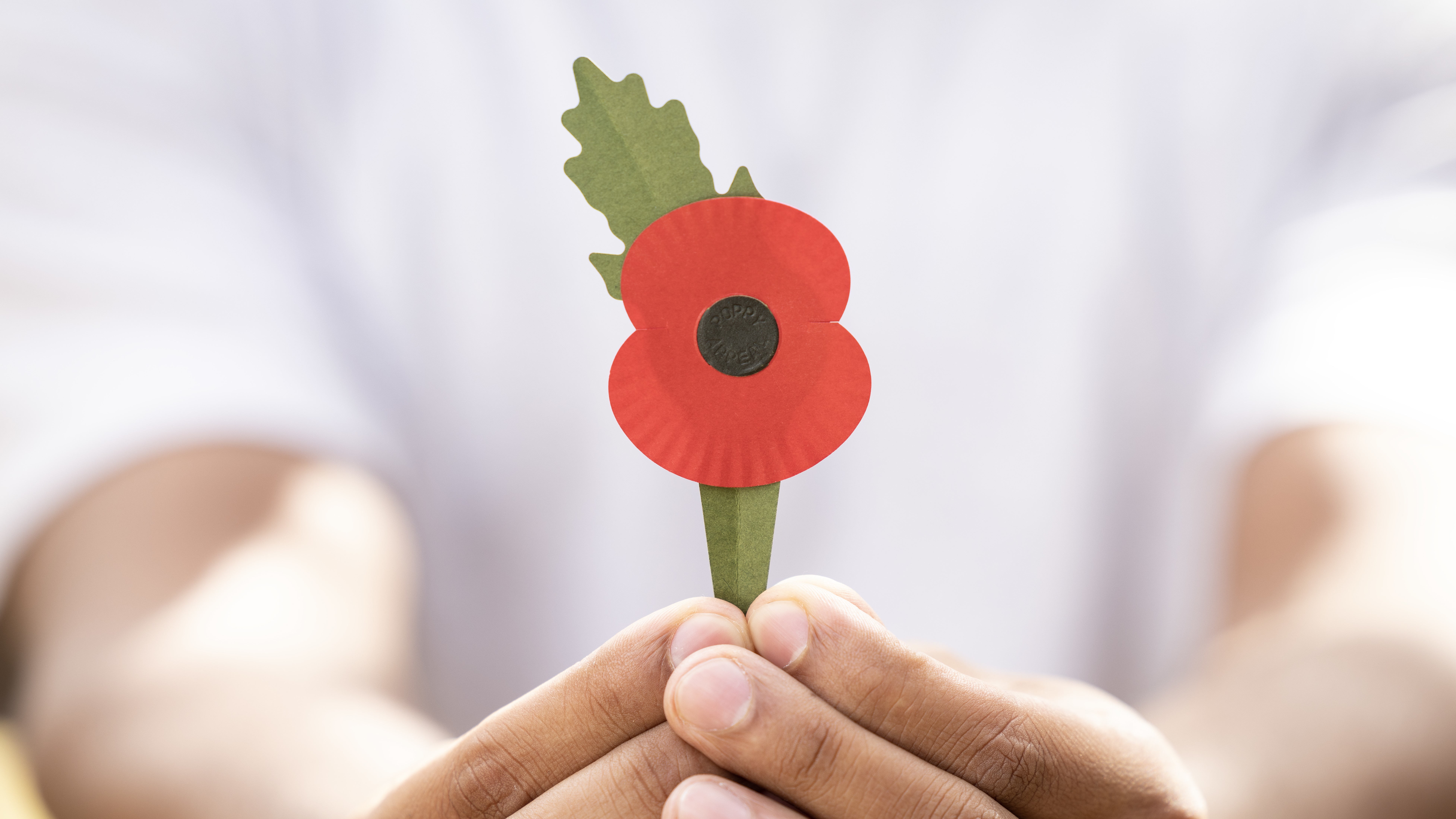 Royal British Legion display its new 100% paper poppy, available for Poppy Appeal from October 2023 19042023 NO REUSE CREDIT PA WIRE, PA IMAGES