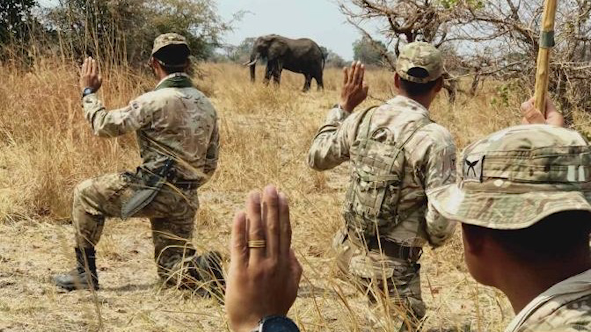 Royal Gurkha Rifles troops spot an elephant in the distance as they train Zambian rangers to combat poaching in the country DATE UNKNOWN 2020 CREDIT MOD