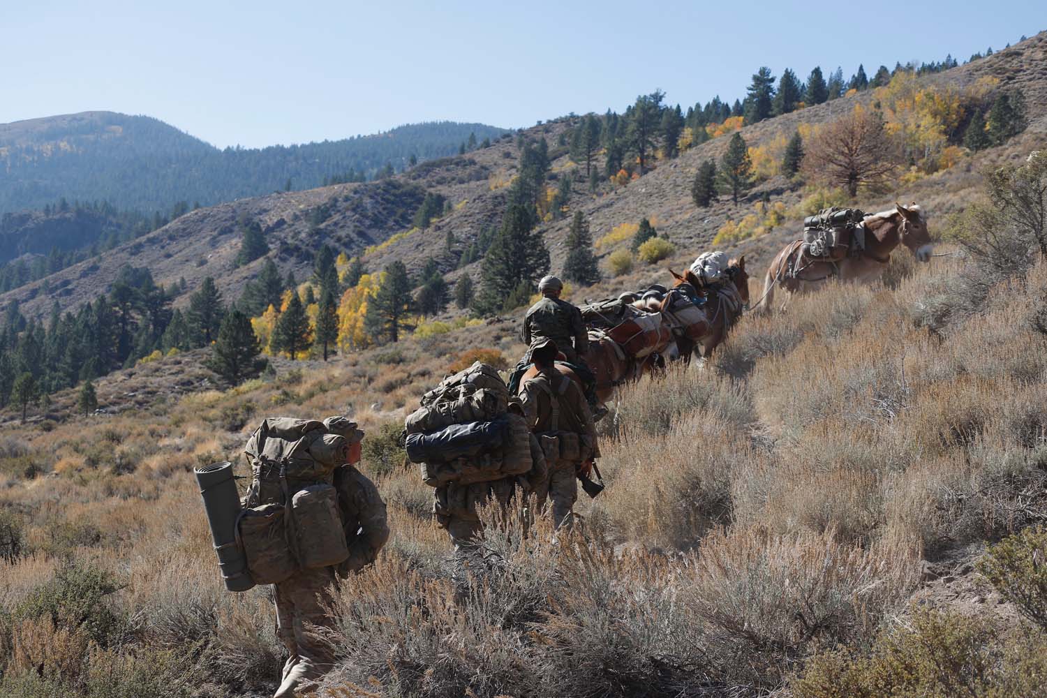 Royal Marines 40 Commando Horses Mojave Desert California 211220 CREDIT ROYAL NAVY