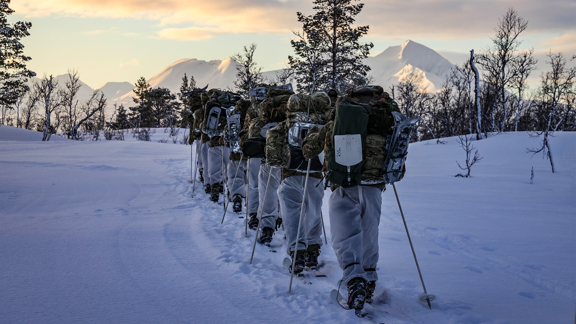 Royal Marines Commandos use skis and carry bergens as they move across country during cold weather training in Norway