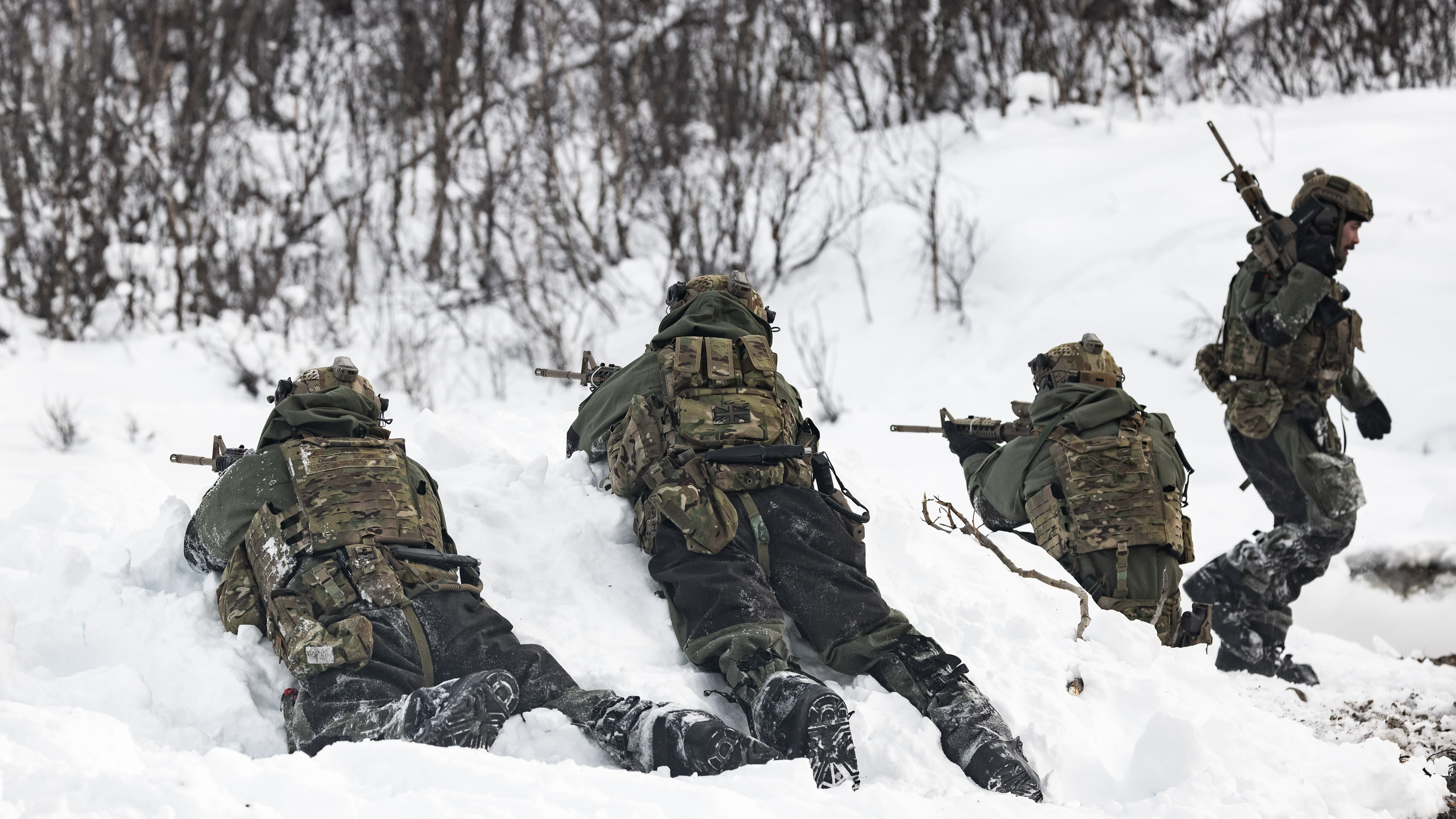 Royal Marines conduct reconnaissance training in the Arctic Circle ahead of Exercise Cold Response