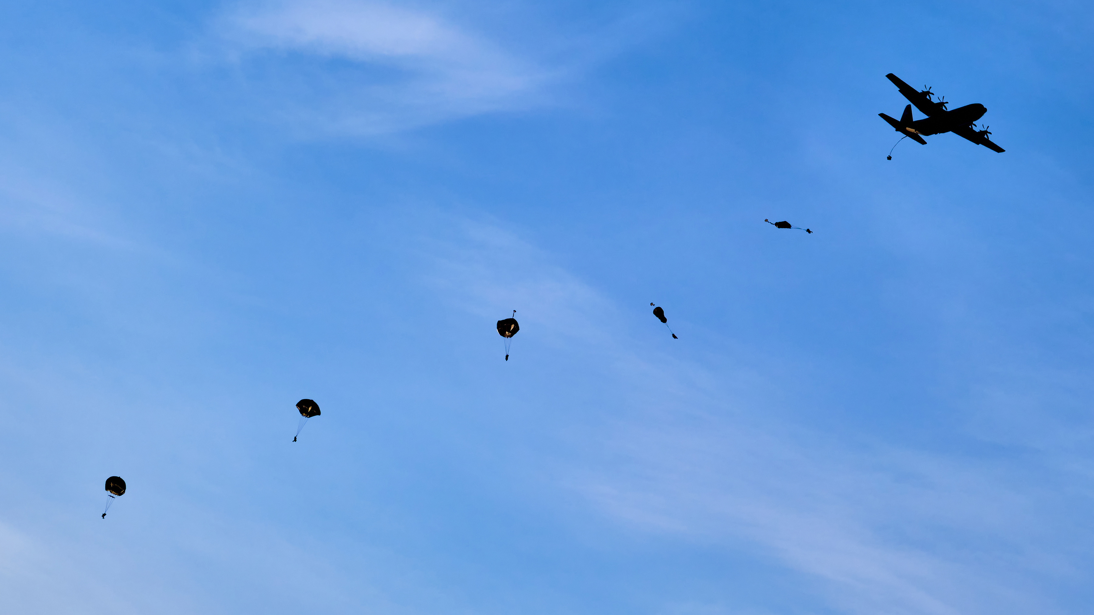 Royal Marines parachute from an American Super Hercules in Sweden 28022Marines parachute from the Super Hercules (Picture: MOD).