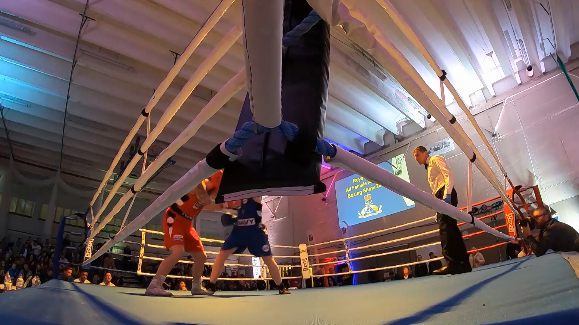 Royal Navy boxing.