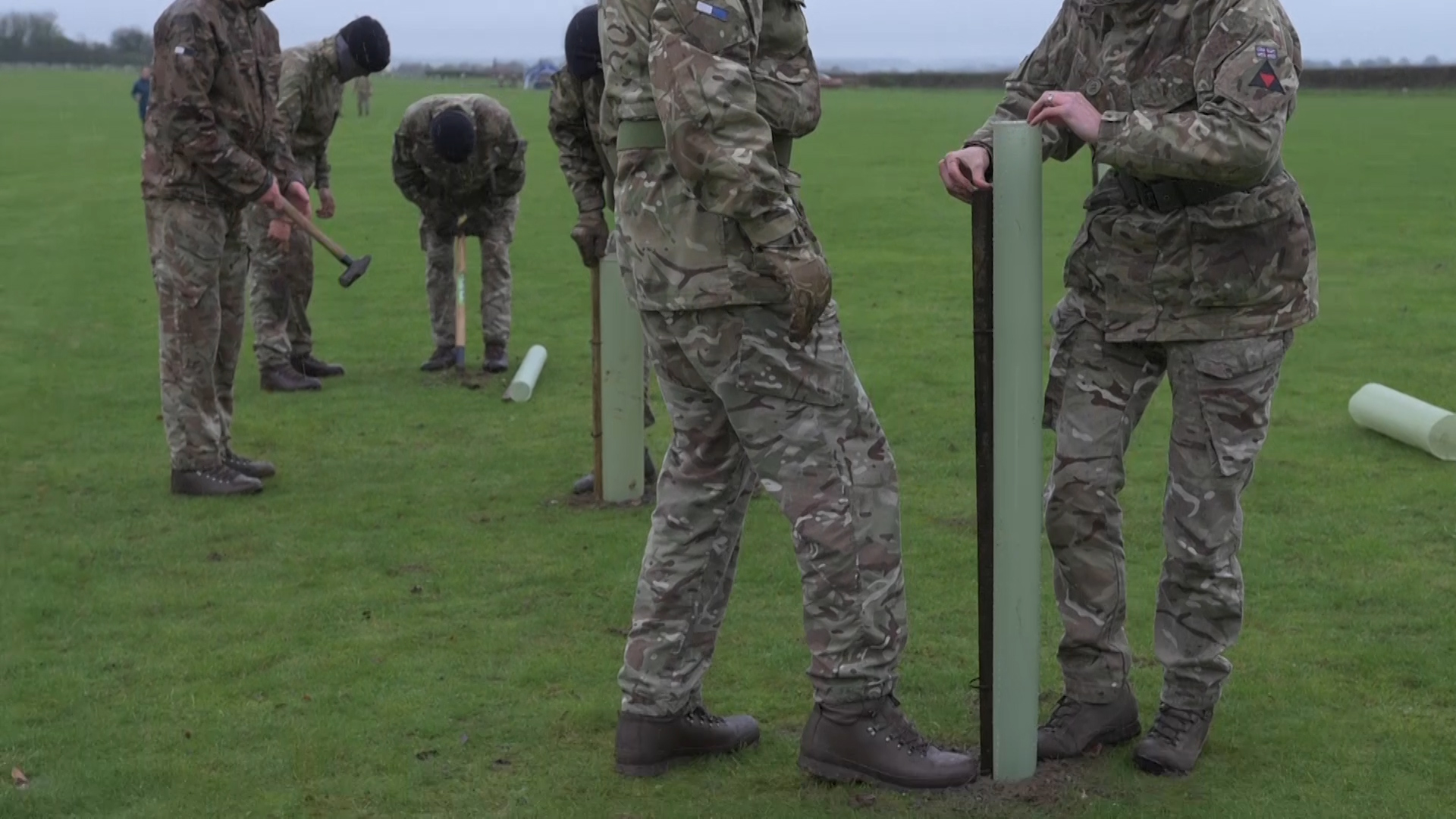 The 100 trees were planted by soldiers from 3 and 15 Signals Regiment (Picture: Royal Signals).
