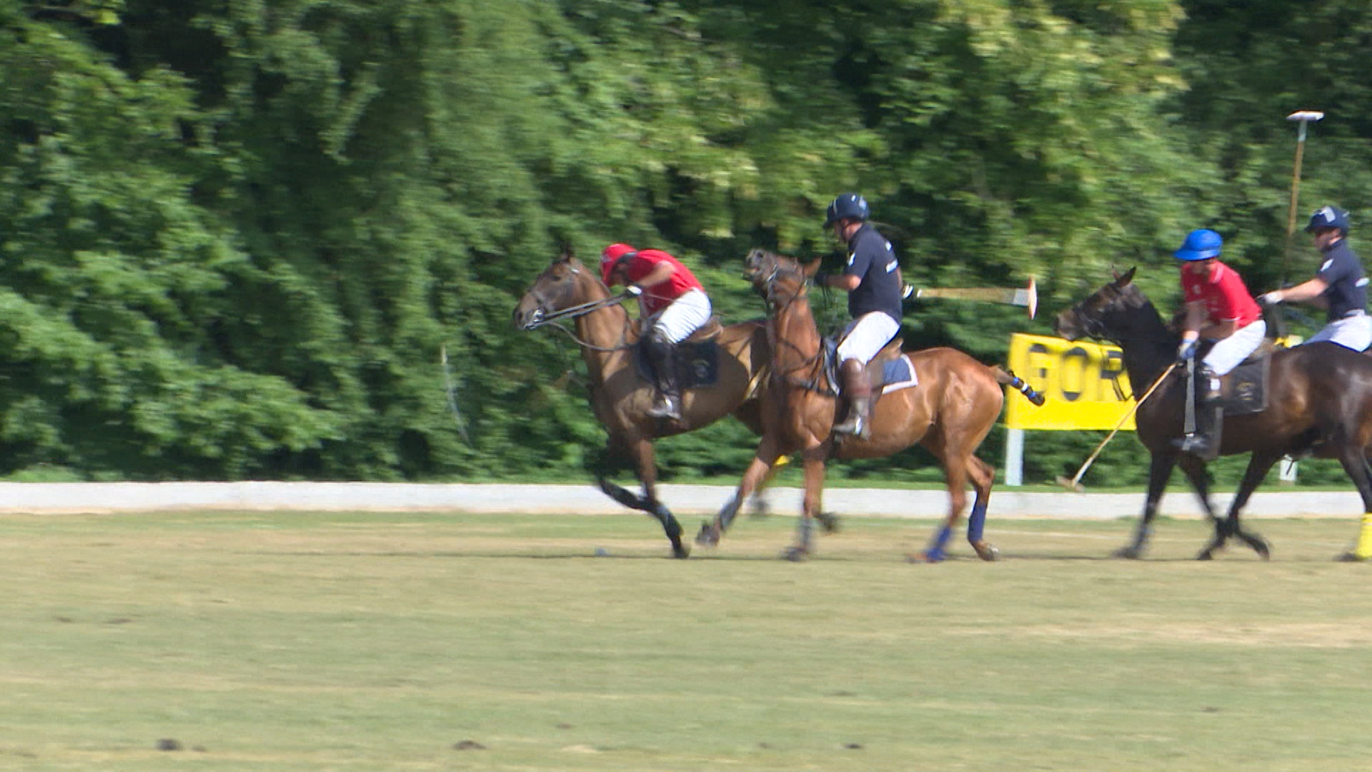Rundle Cup 2018