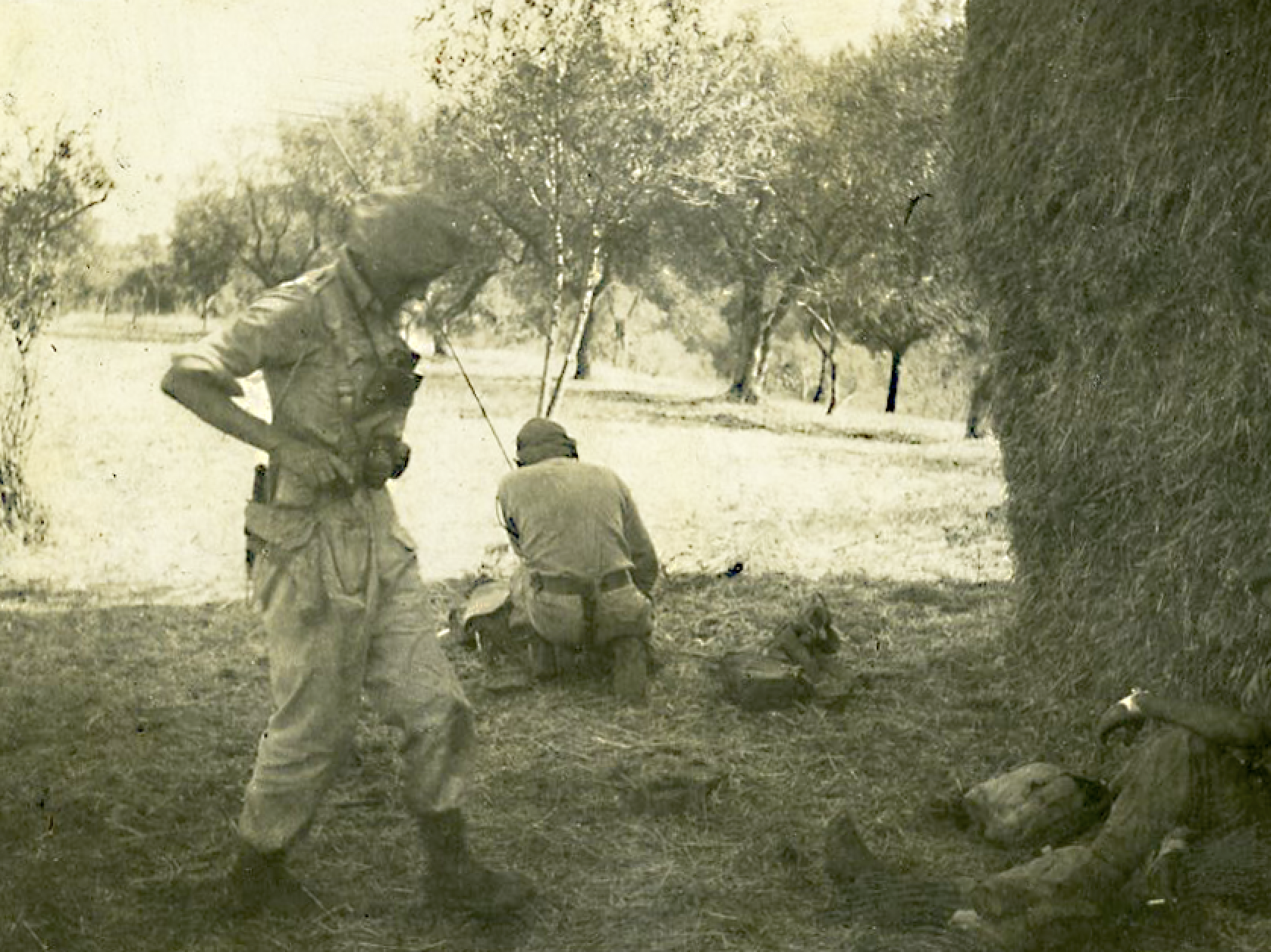 SAS section in Italy 