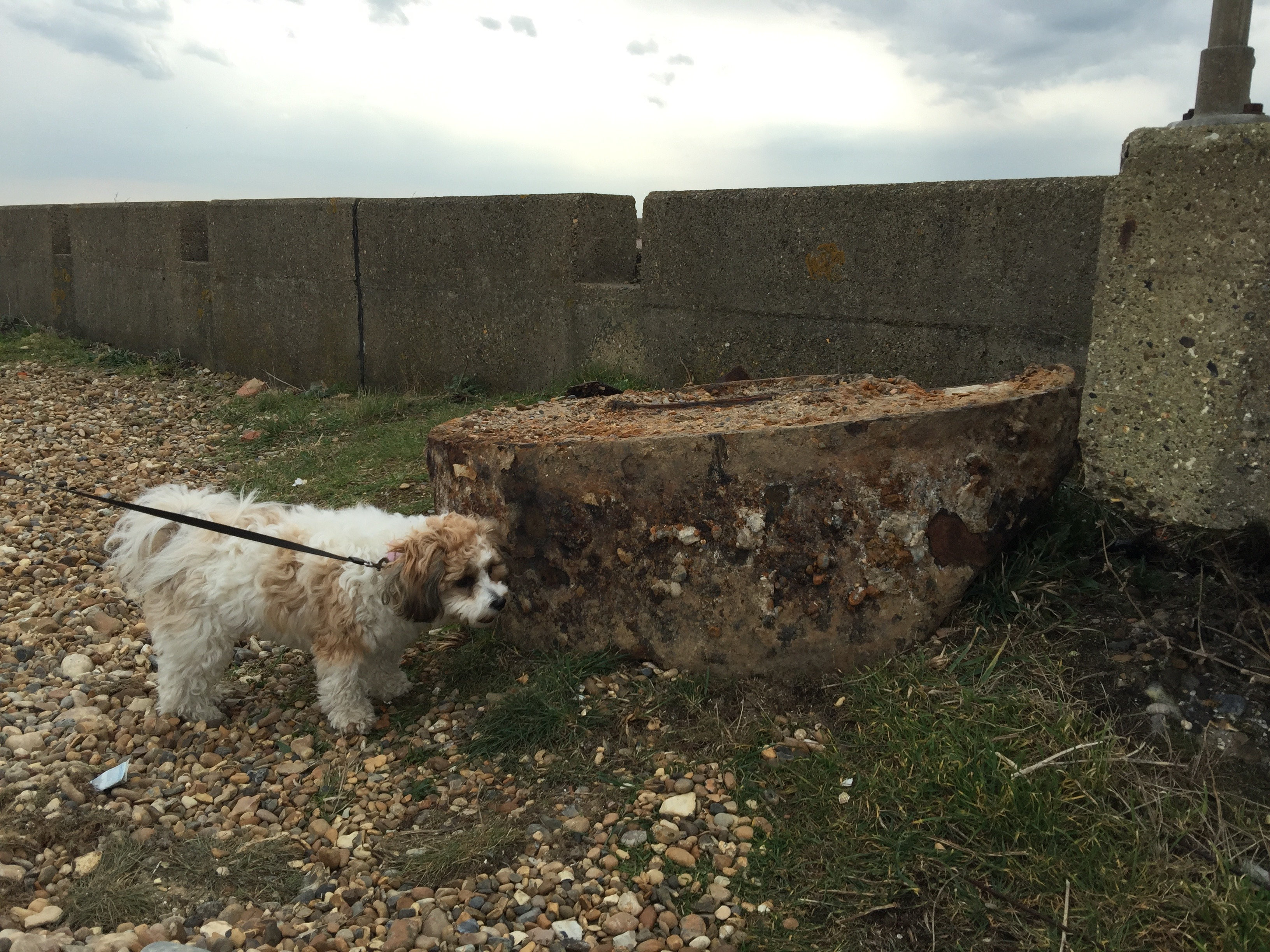 Bouncing Bomb find