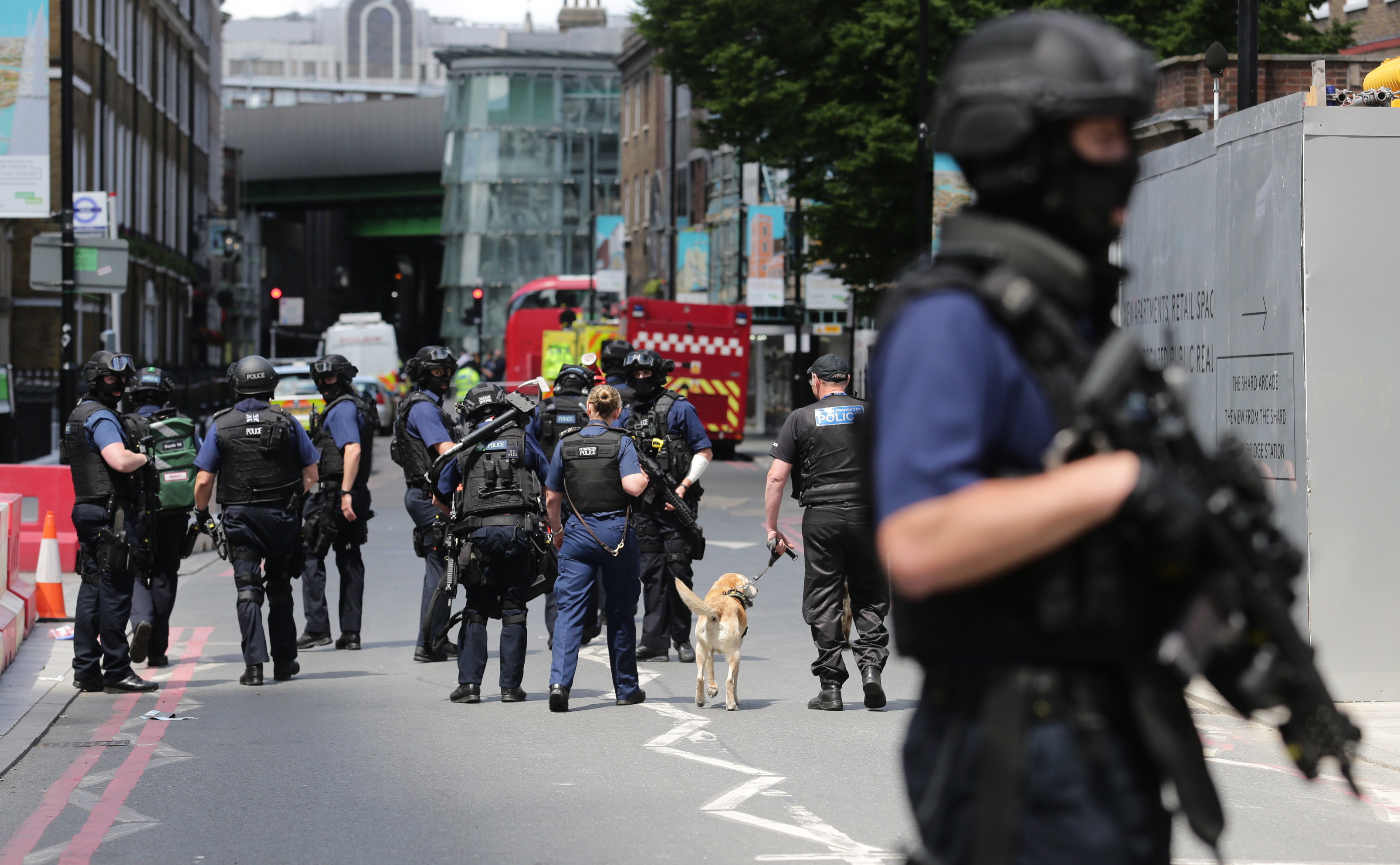 COMMENT: Terrorism - The Realities