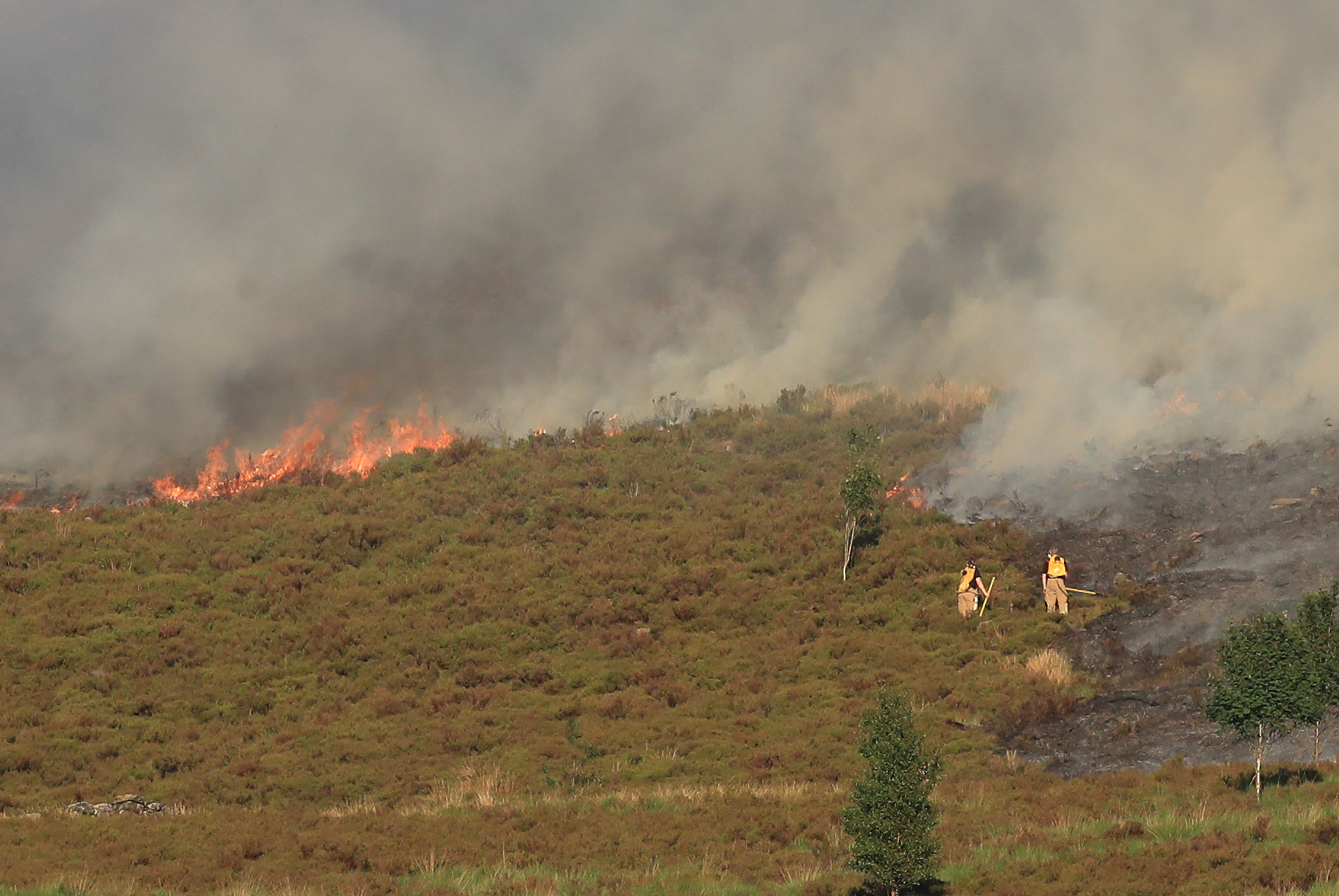 Saddleworth Moor fires