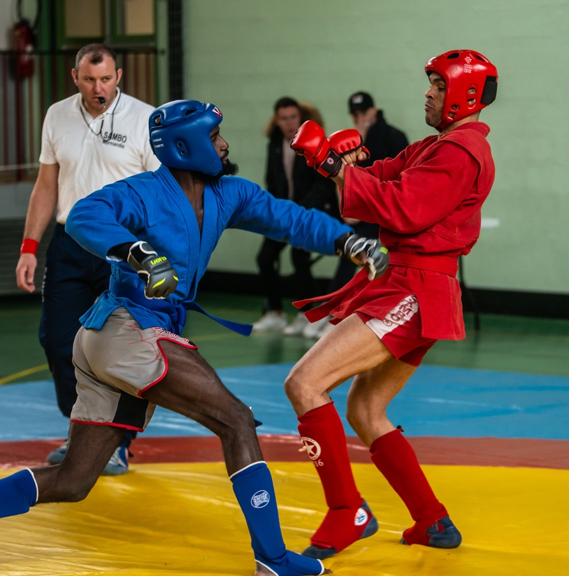 Combat Sambo 