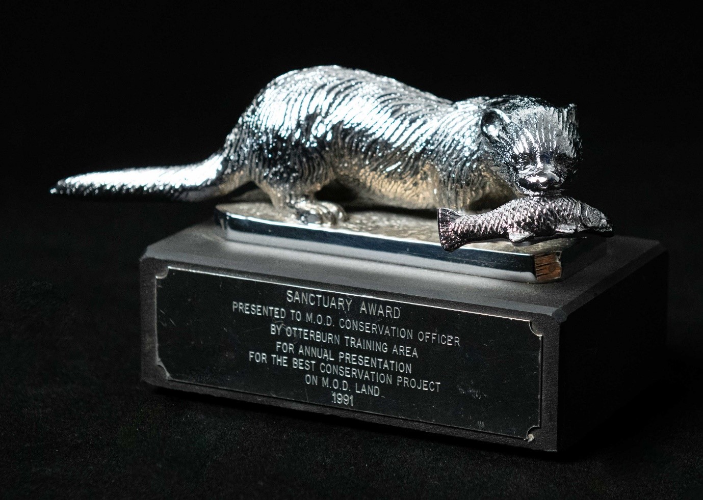 Sanctuary Awards 2021