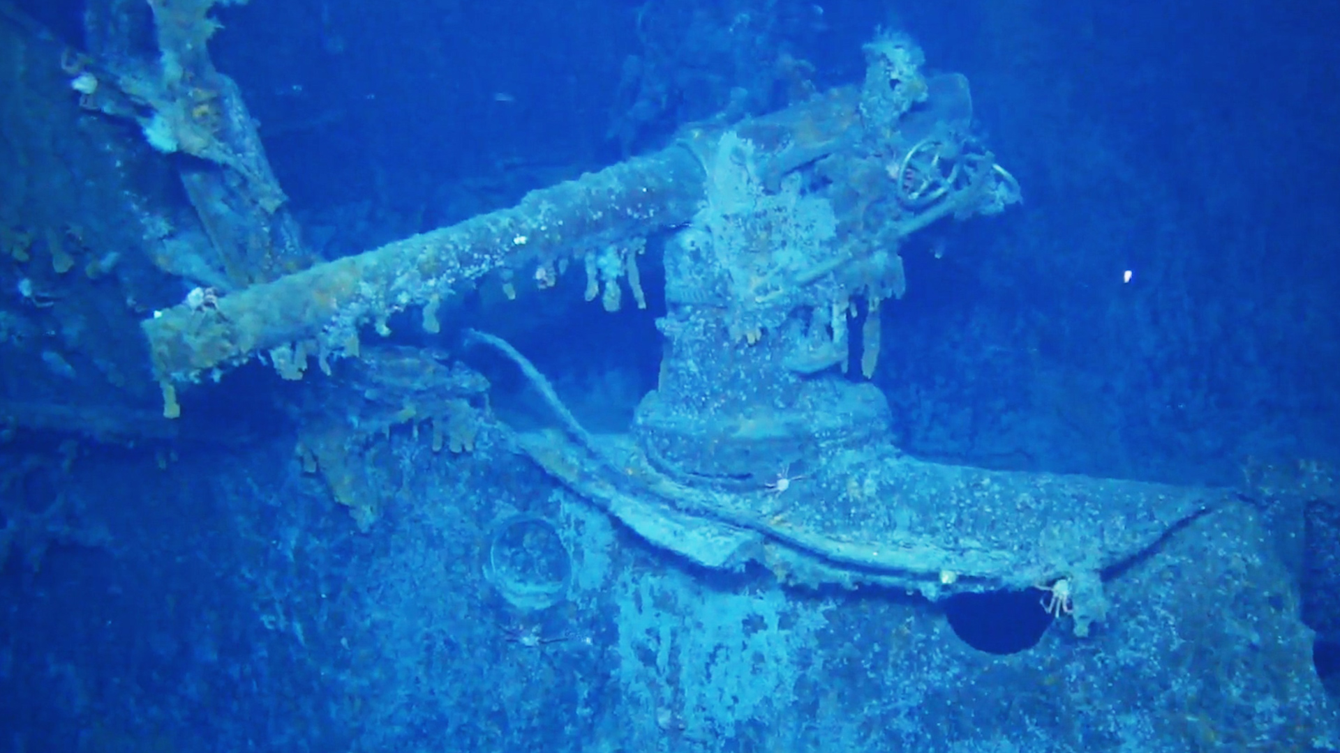 Scharnhorst guns on wreck found falklands 051219 CREDIT Falklands Heritage Maritime Trust.jpg