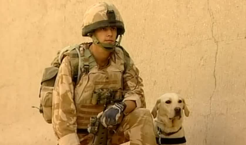 Hero Army Dog Given Award Hero Army Dog Given Award
