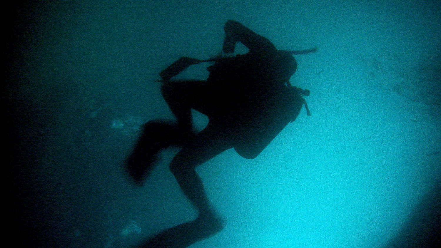Scuba Diving Oman Sub Aqua Diver Blue Defence Imagery ID 45152205