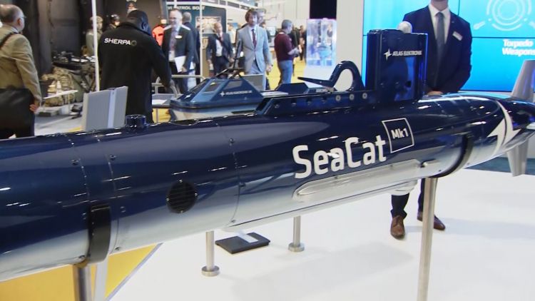 Seacat missile at DSEI 2019