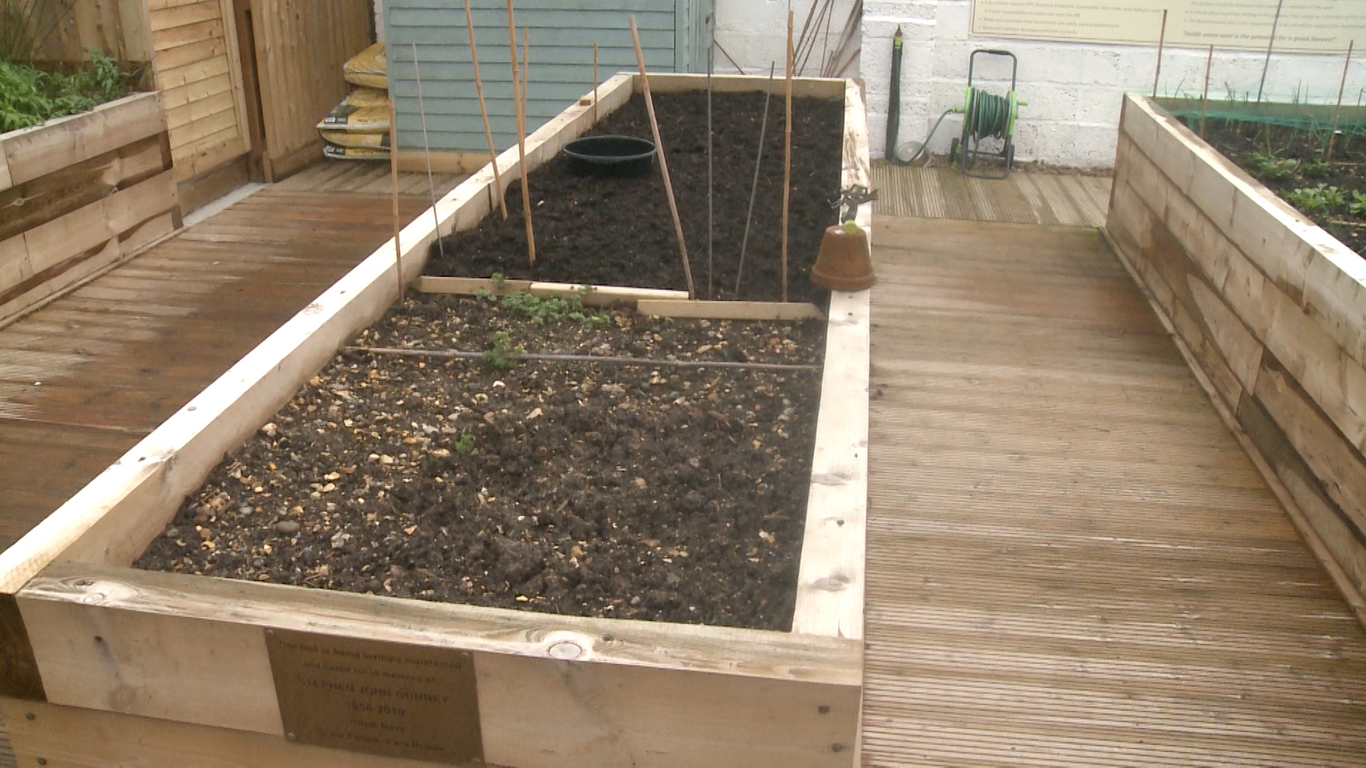 Sensory garden at Veterans' Hub.