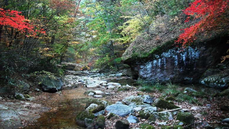 Songnisan National Park in South Korea