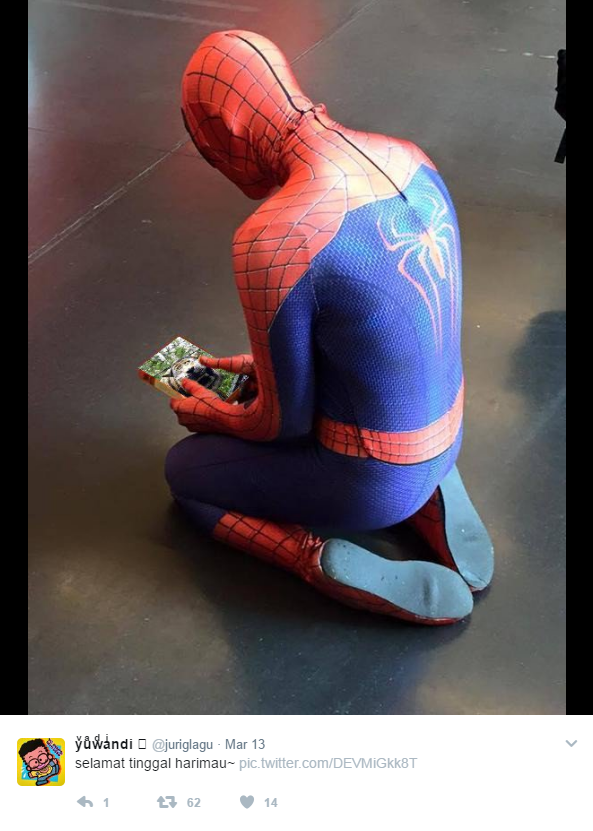 Spider Tiger