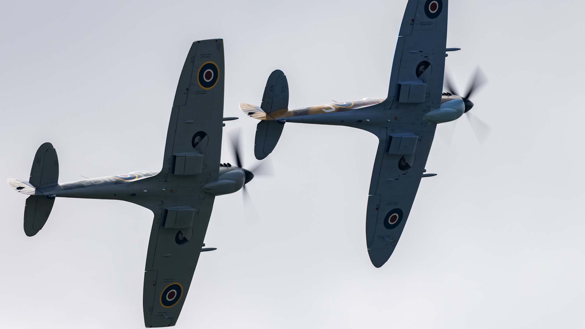 Spitfires flying together (Picture: MOD)