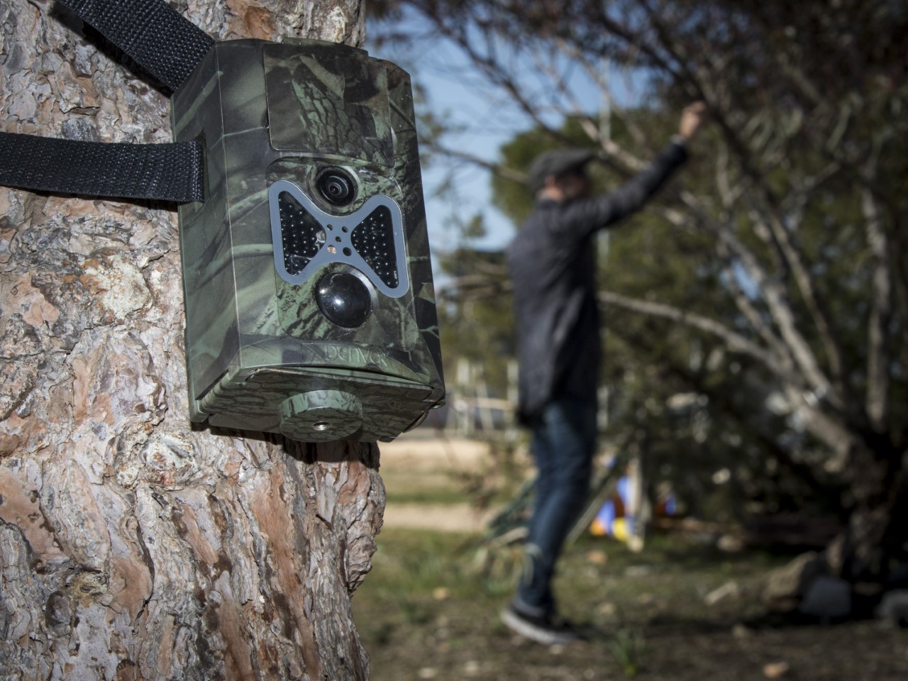 A specialist infrared motion sensor camera in position in Cyprus.