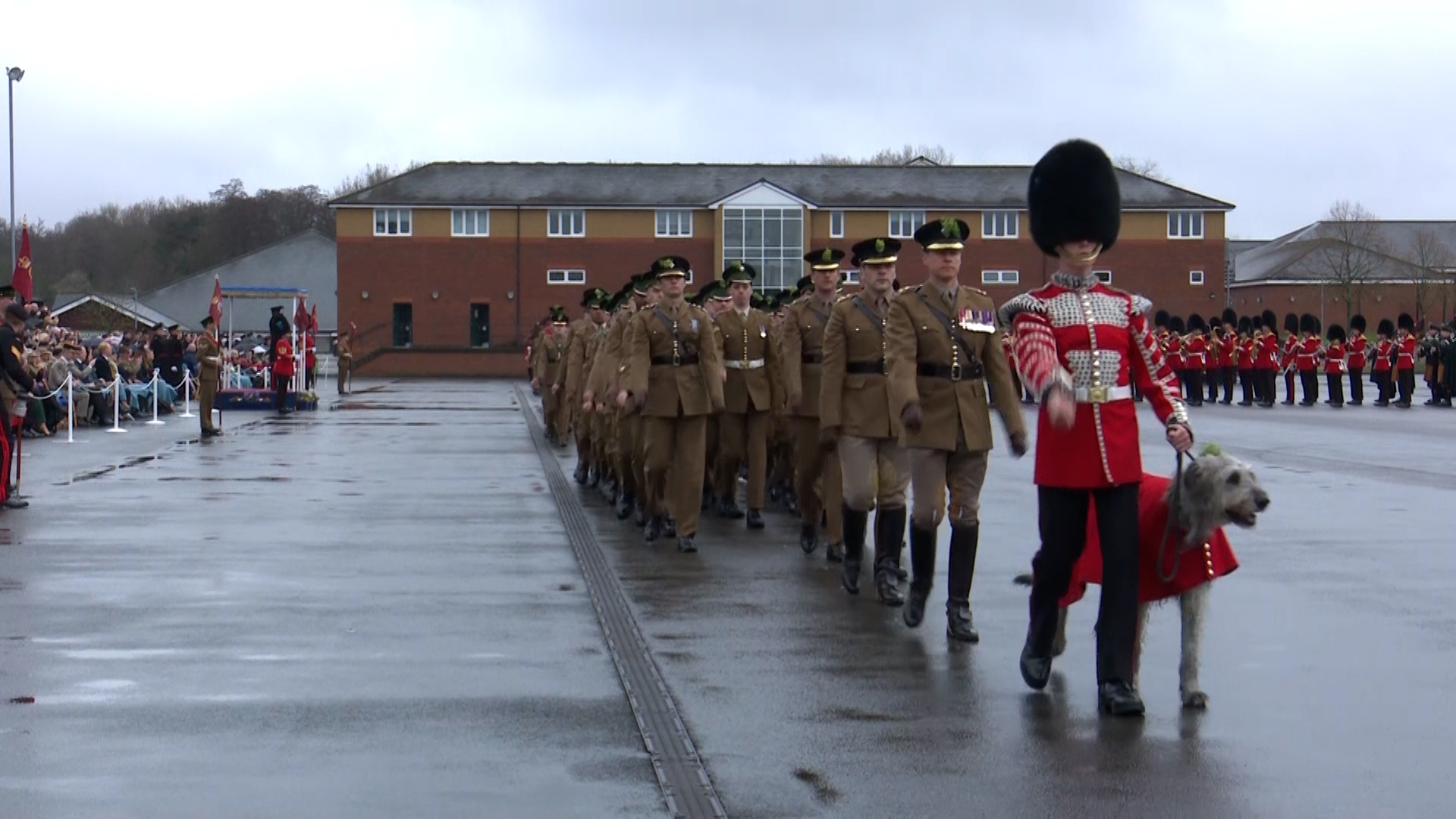 St Patricks Parade led by Irish Guards Pipes and Regimental Mascot